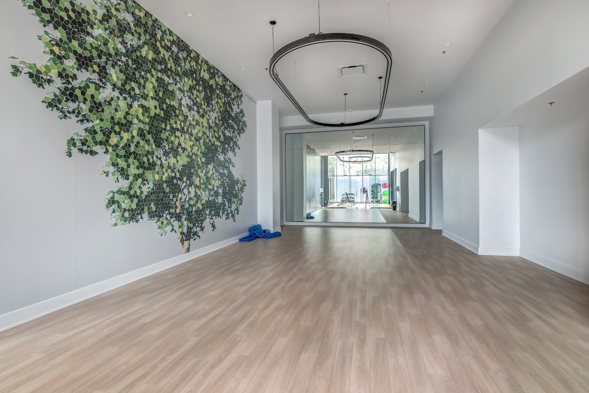 Photo -  Salle d'exercice