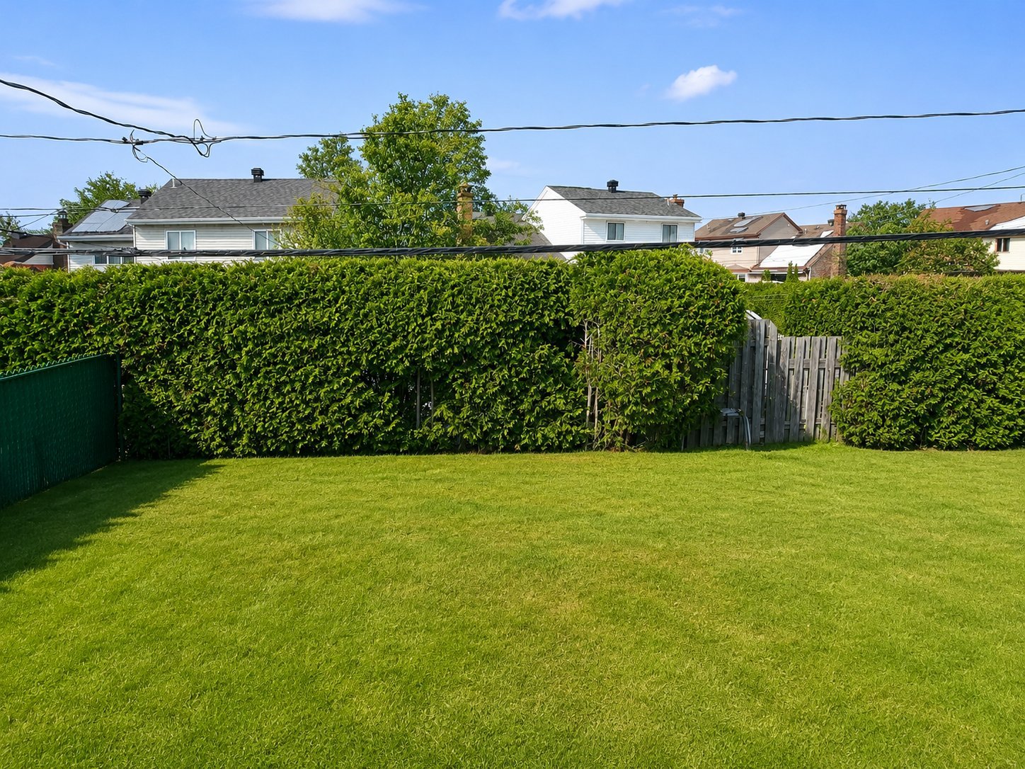Photo - Garden