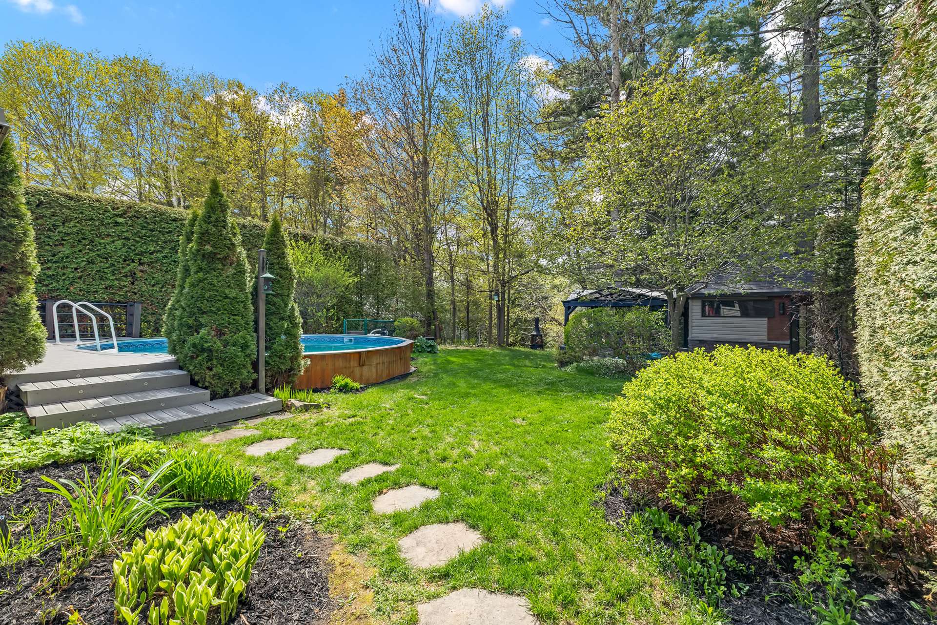 Photo - Backyard