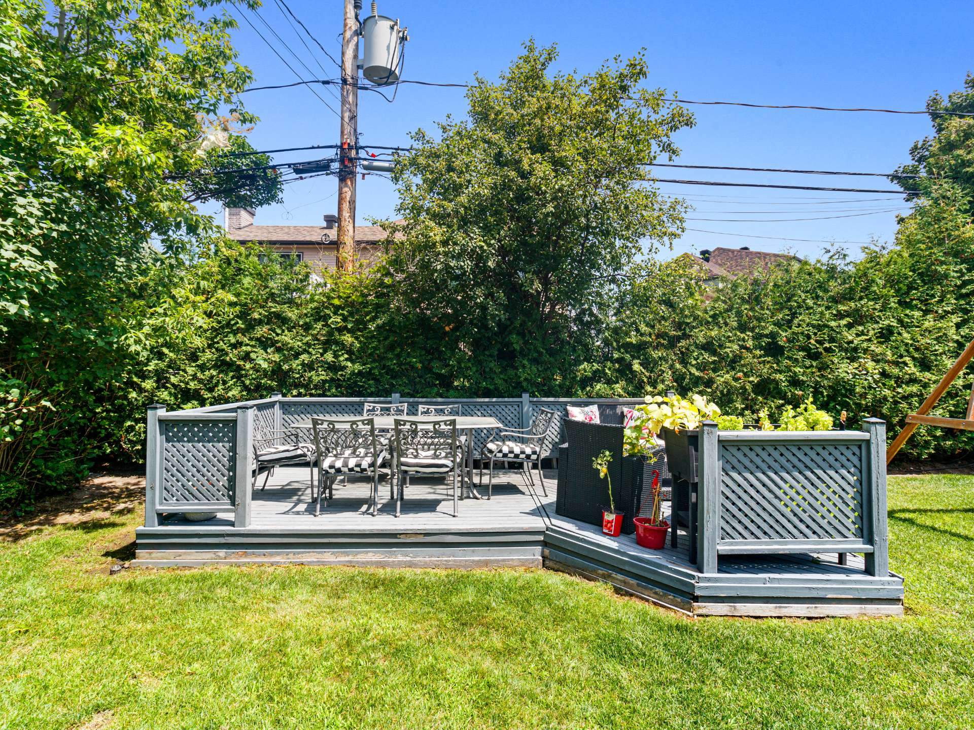 Photo - Backyard