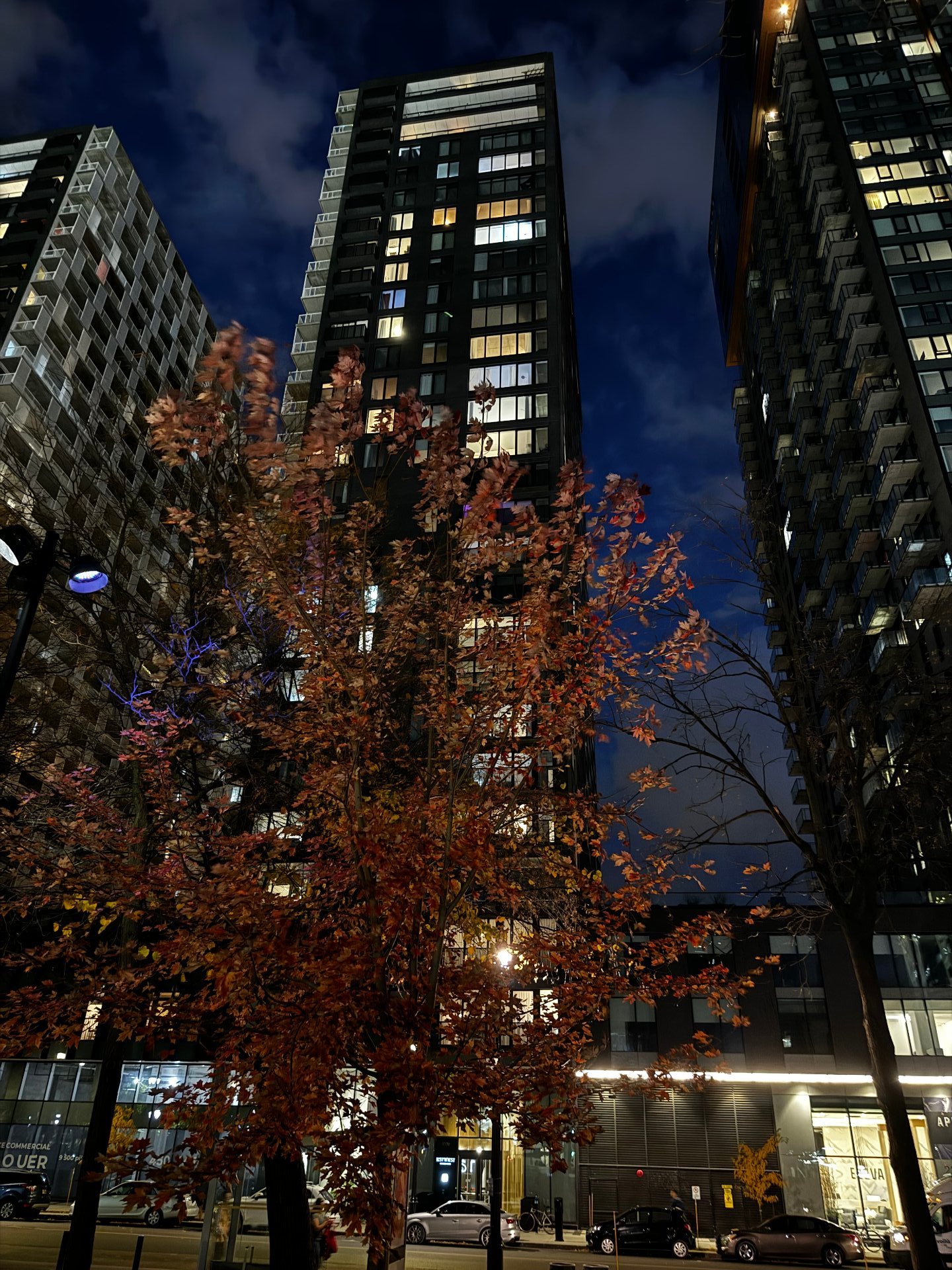 Photo - Vue