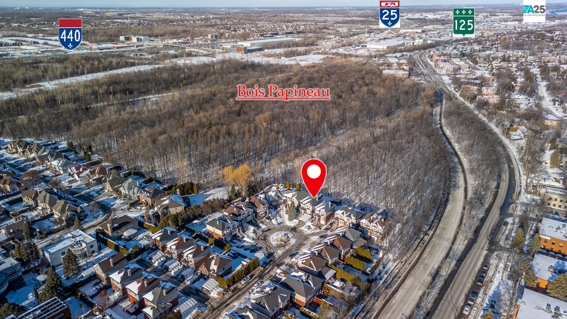 Photo - Aerial photo