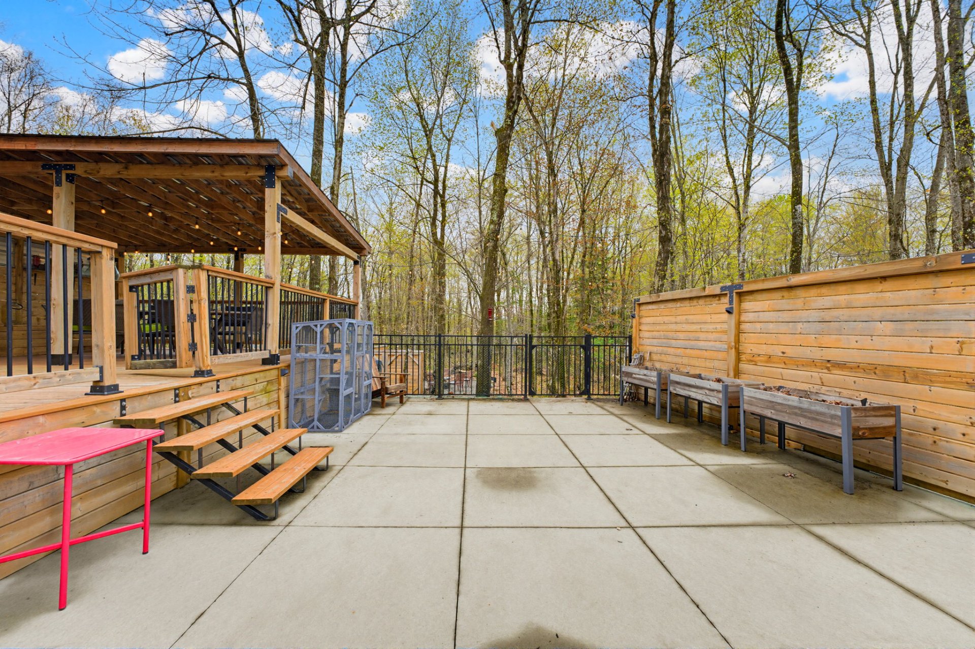Photo - Backyard