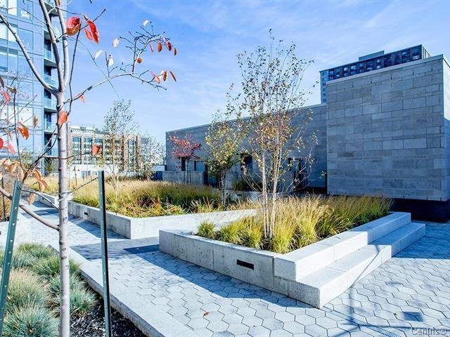 Photo - Garden