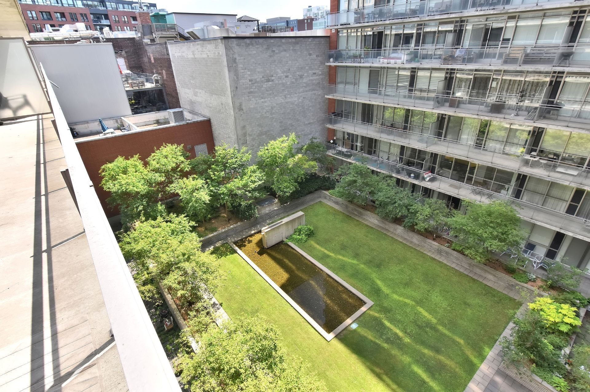 Photo - Backyard