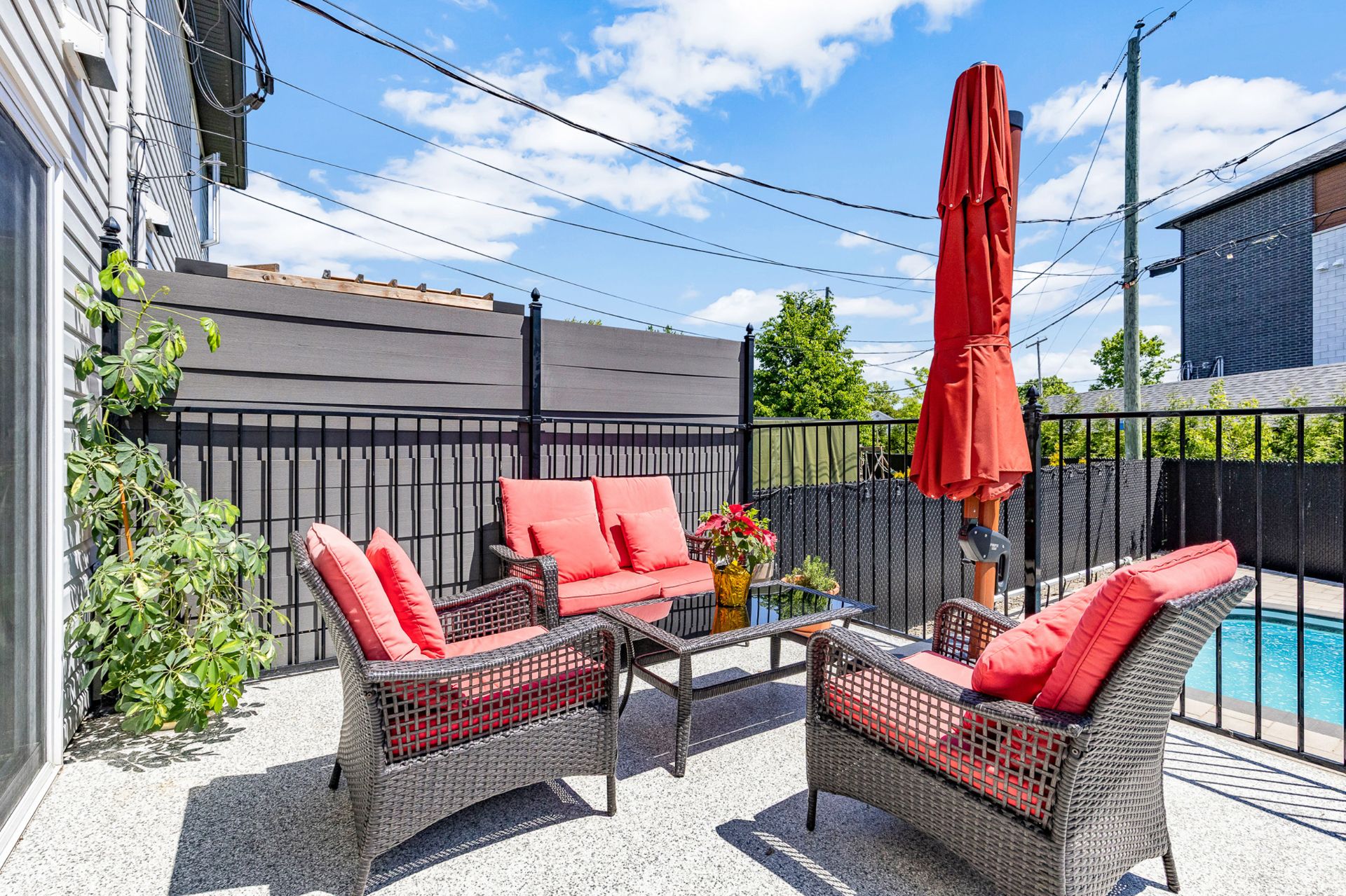 Photo - Backyard