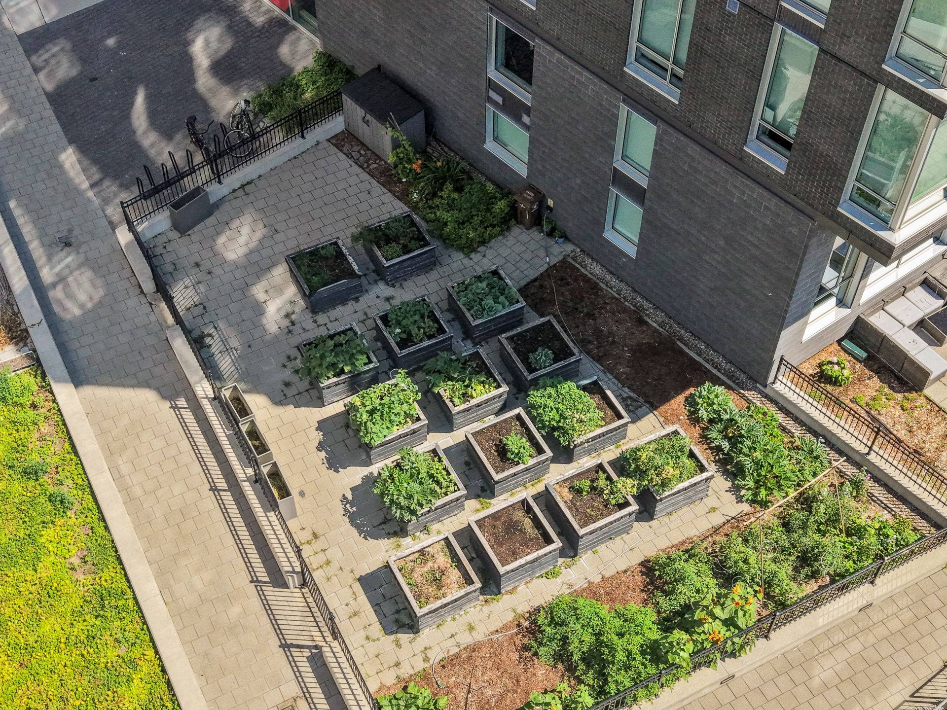 Photo - Aerial photo