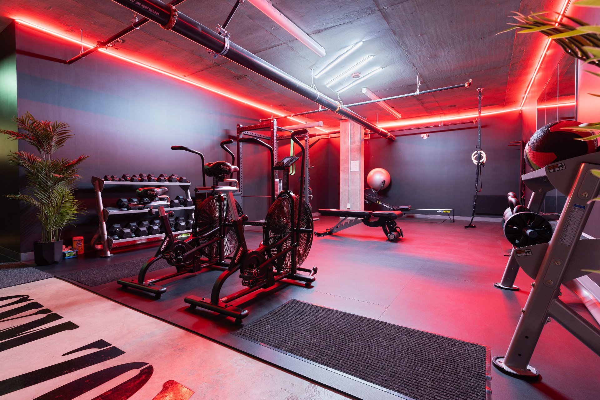 Photo -  Salle d'exercice