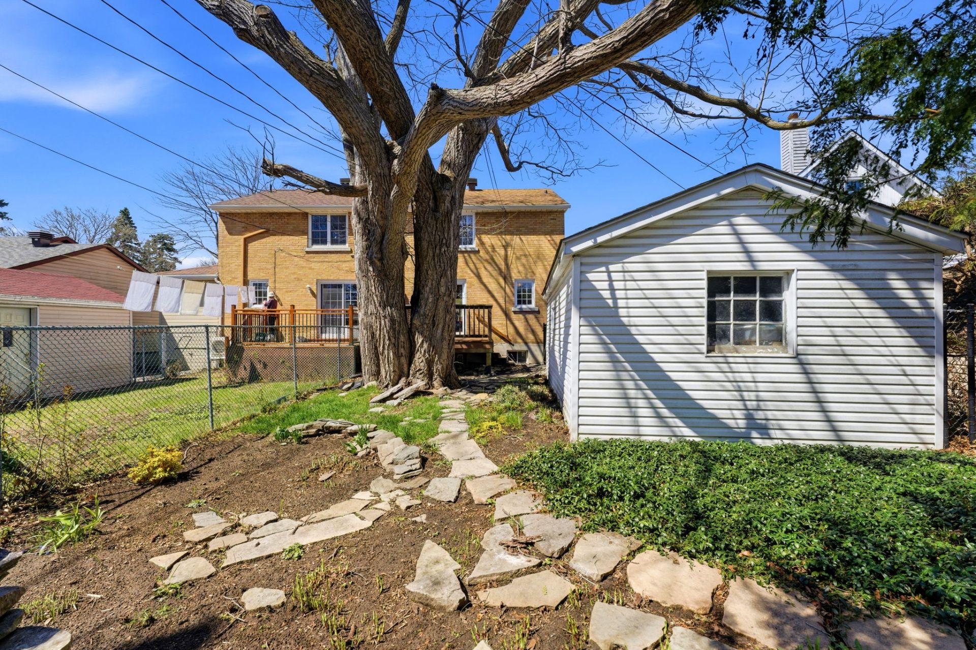 Photo - Backyard
