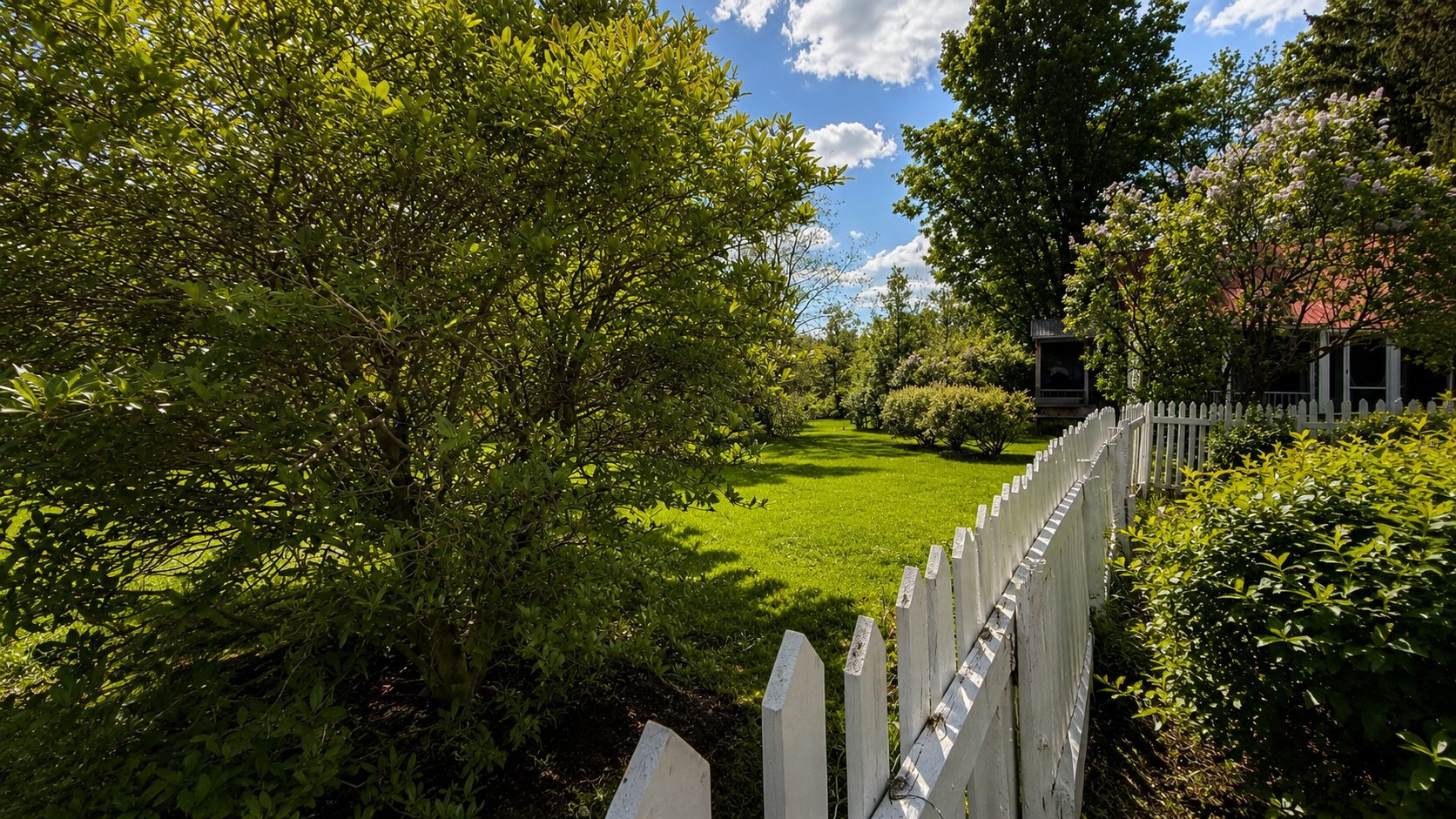Photo - Garden