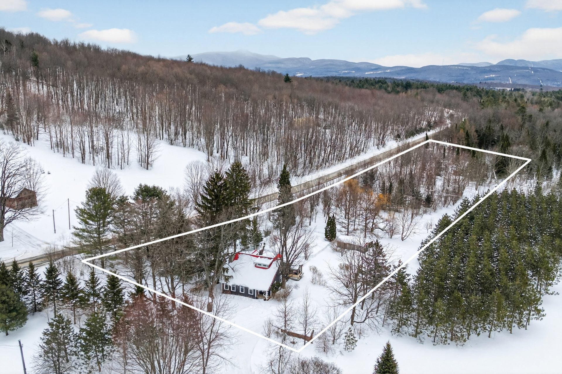 Photo - Aerial photo