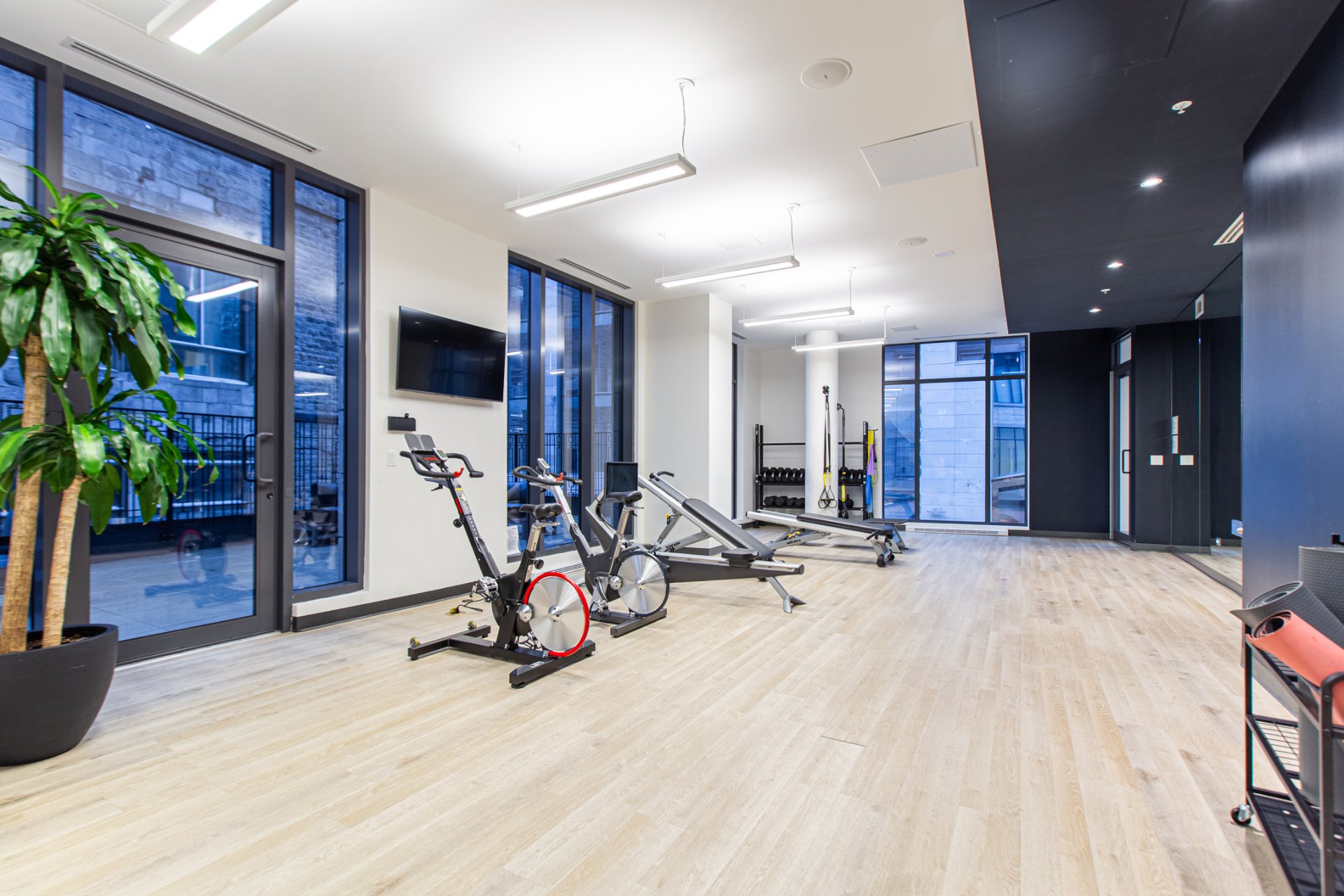 Photo -  Salle d'exercice