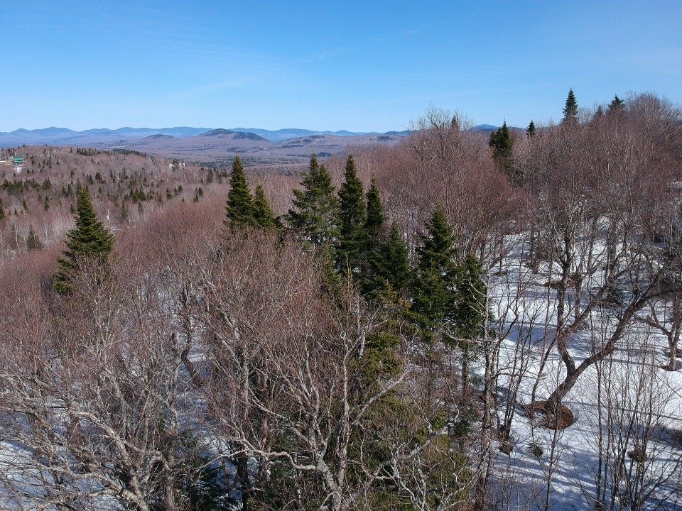 Photo - Vue