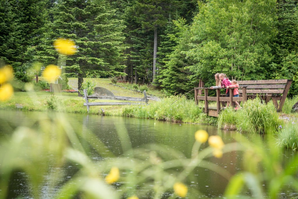Photo - Accès au plan d'eau