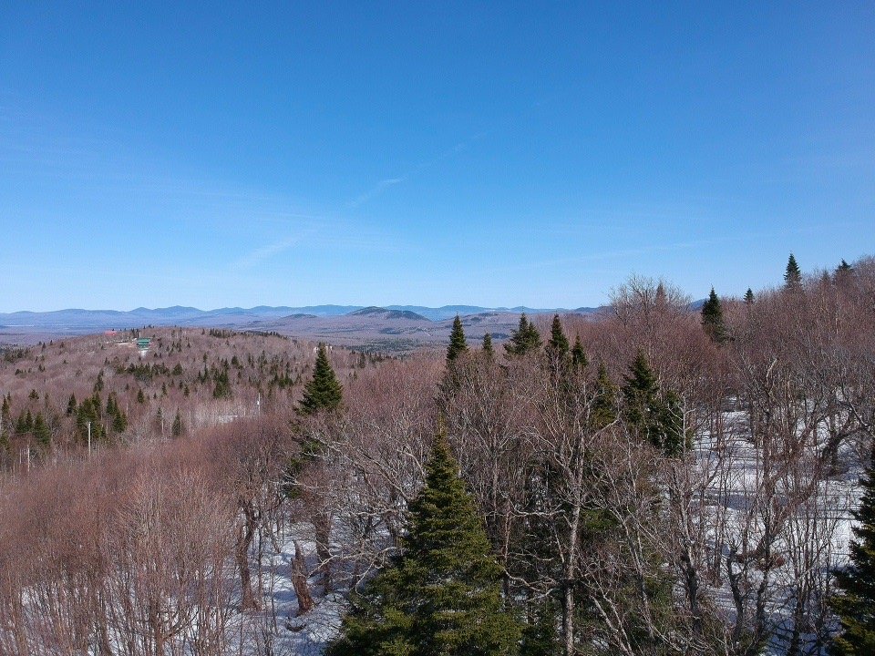 Photo - Vue