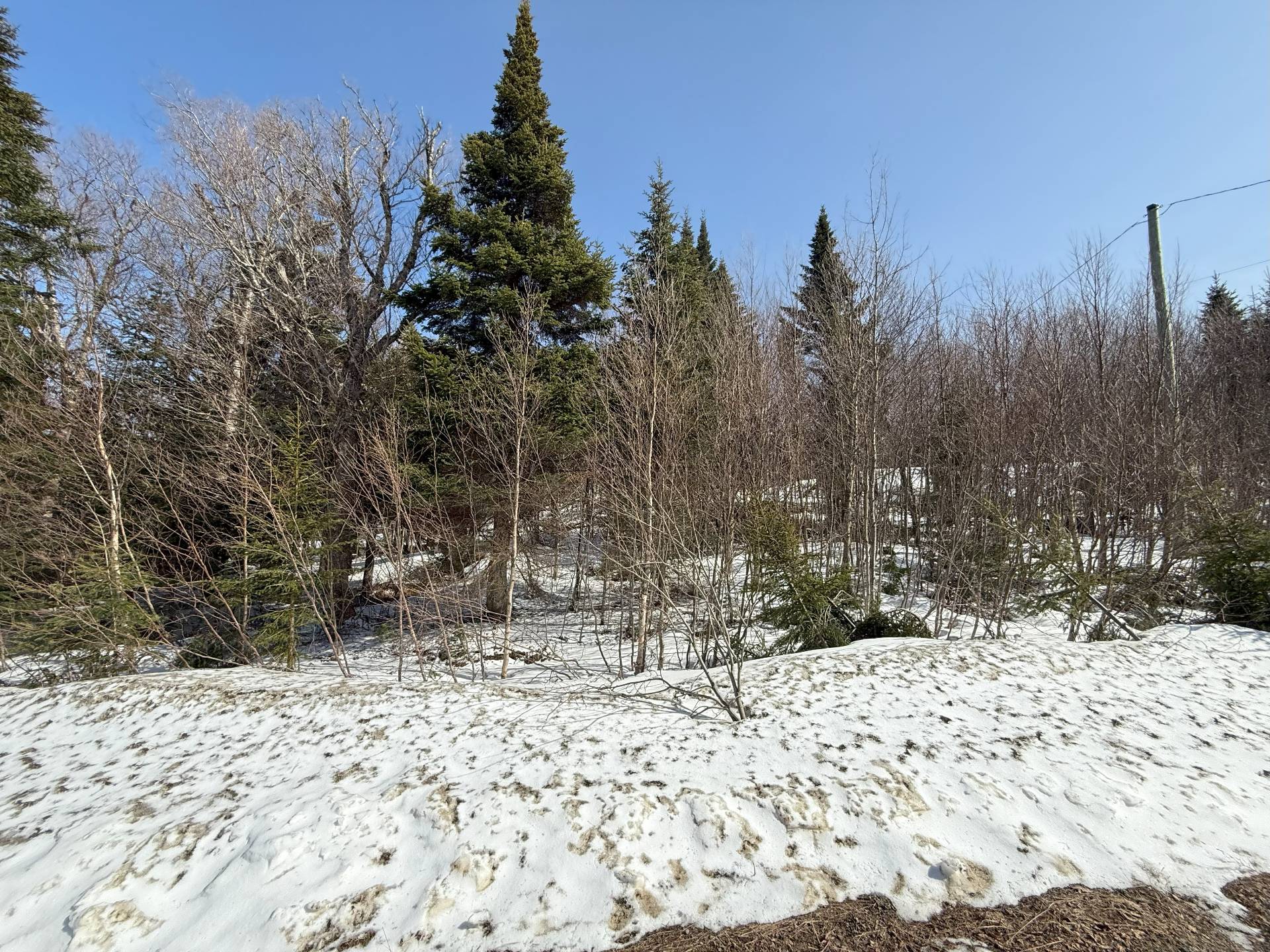 Photo - Terre/Terrain