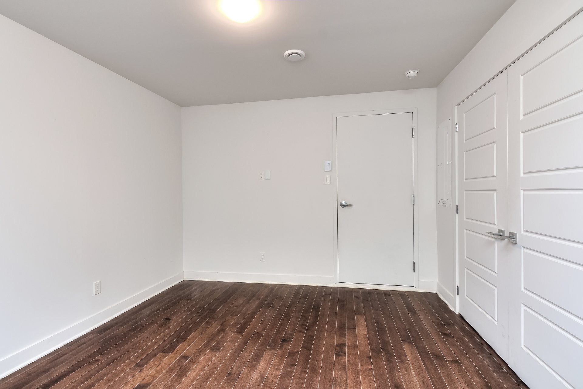 Photo - Basement