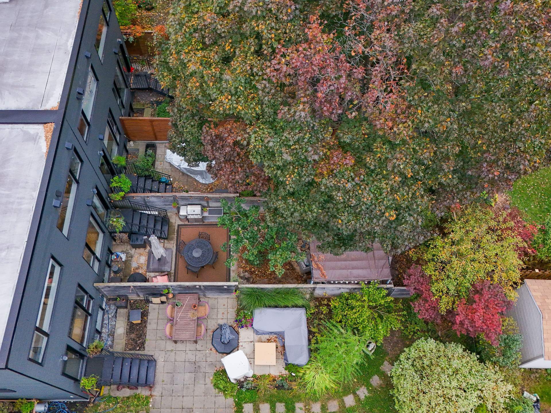 Photo - Aerial photo