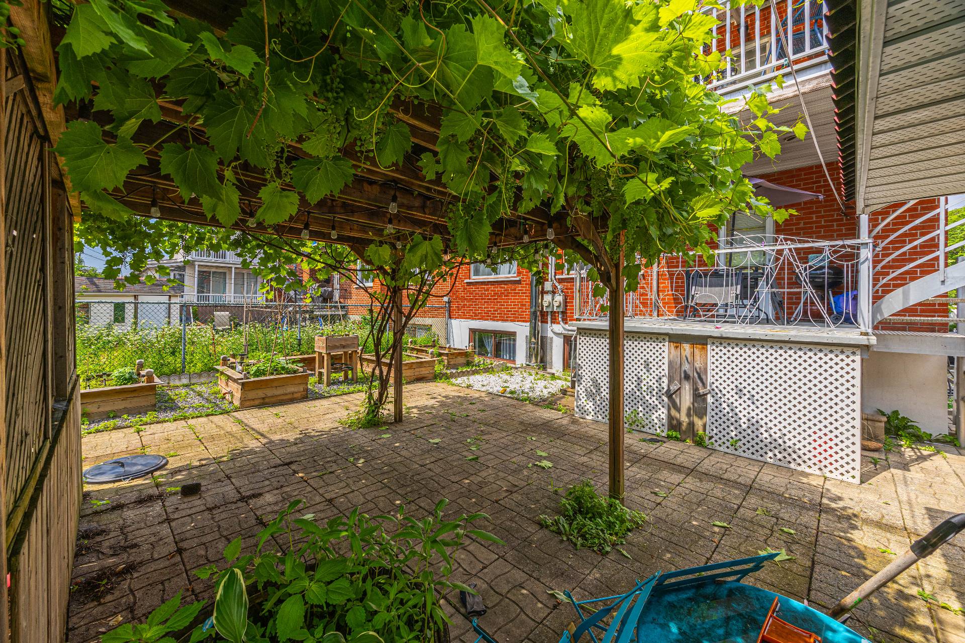 Photo - Backyard