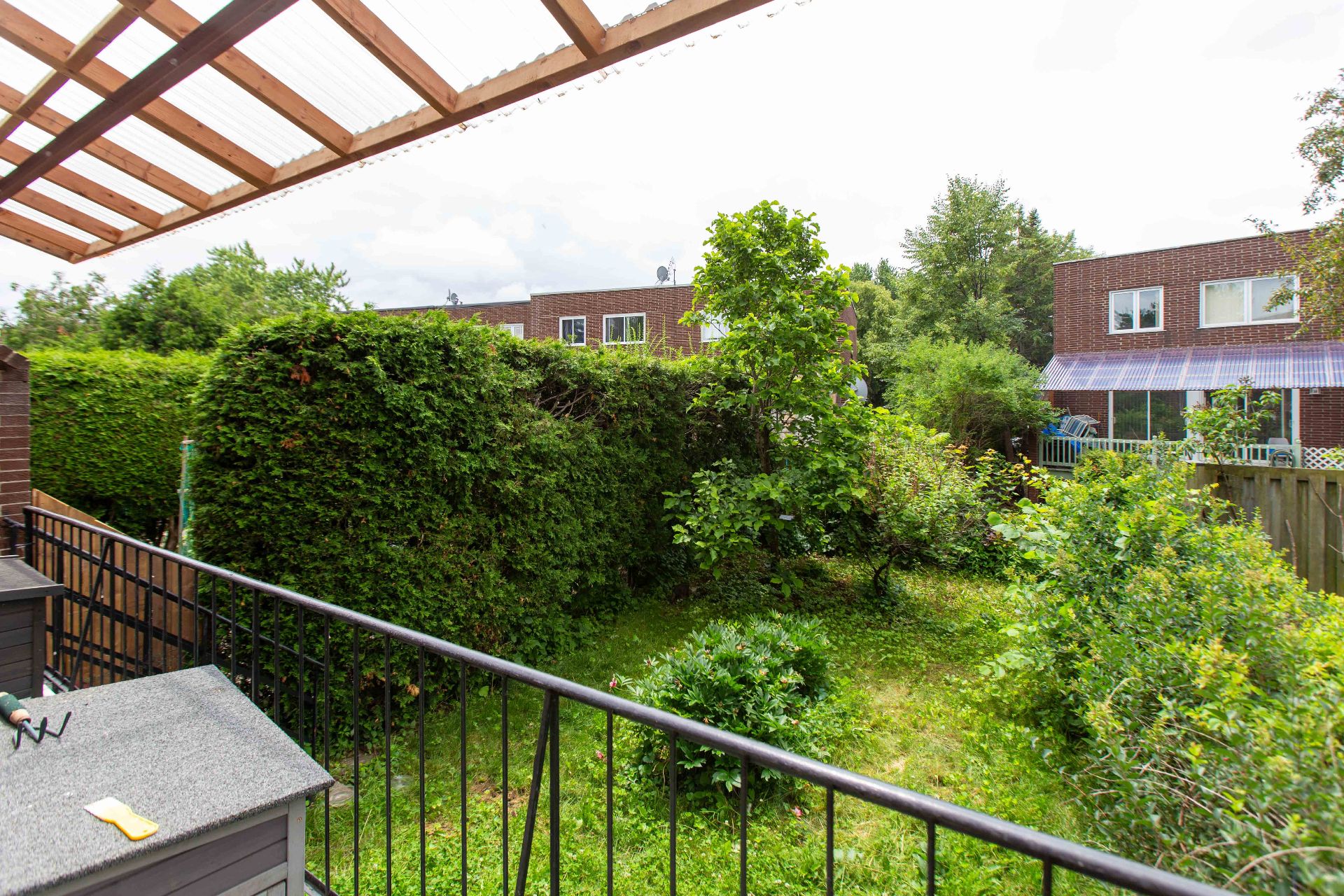 Photo - Backyard