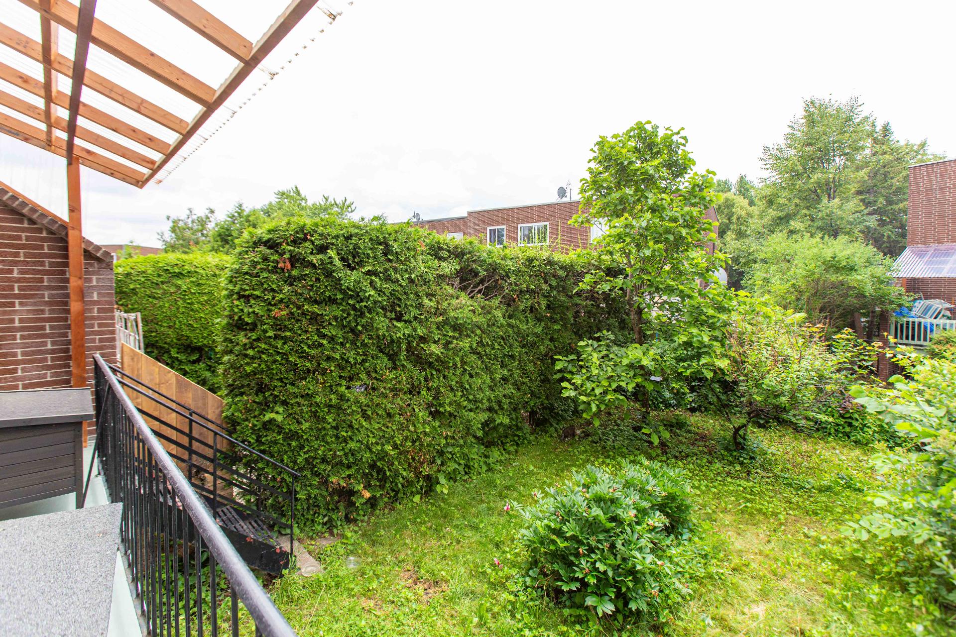 Photo - Backyard