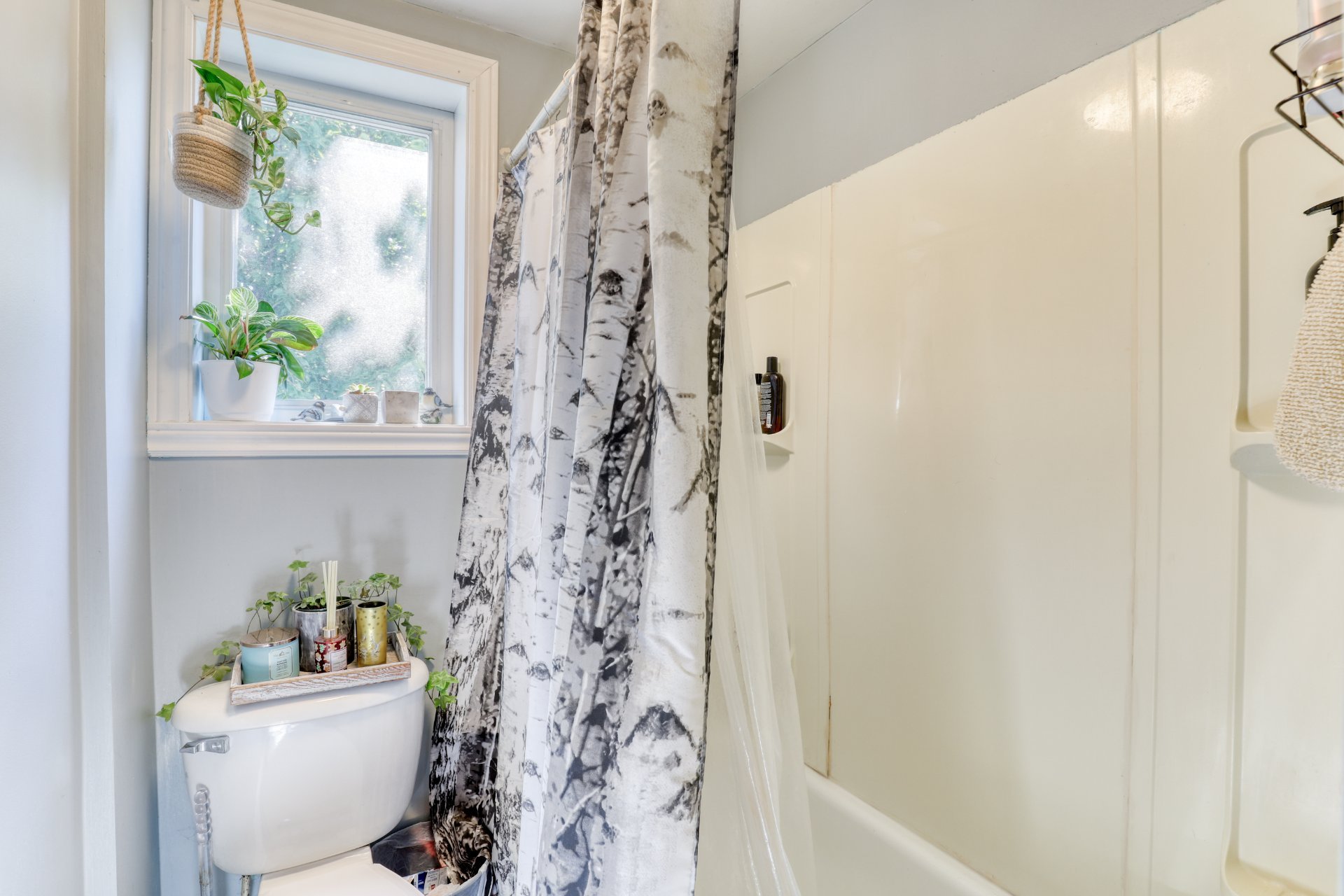 Photo - Salle de bains
