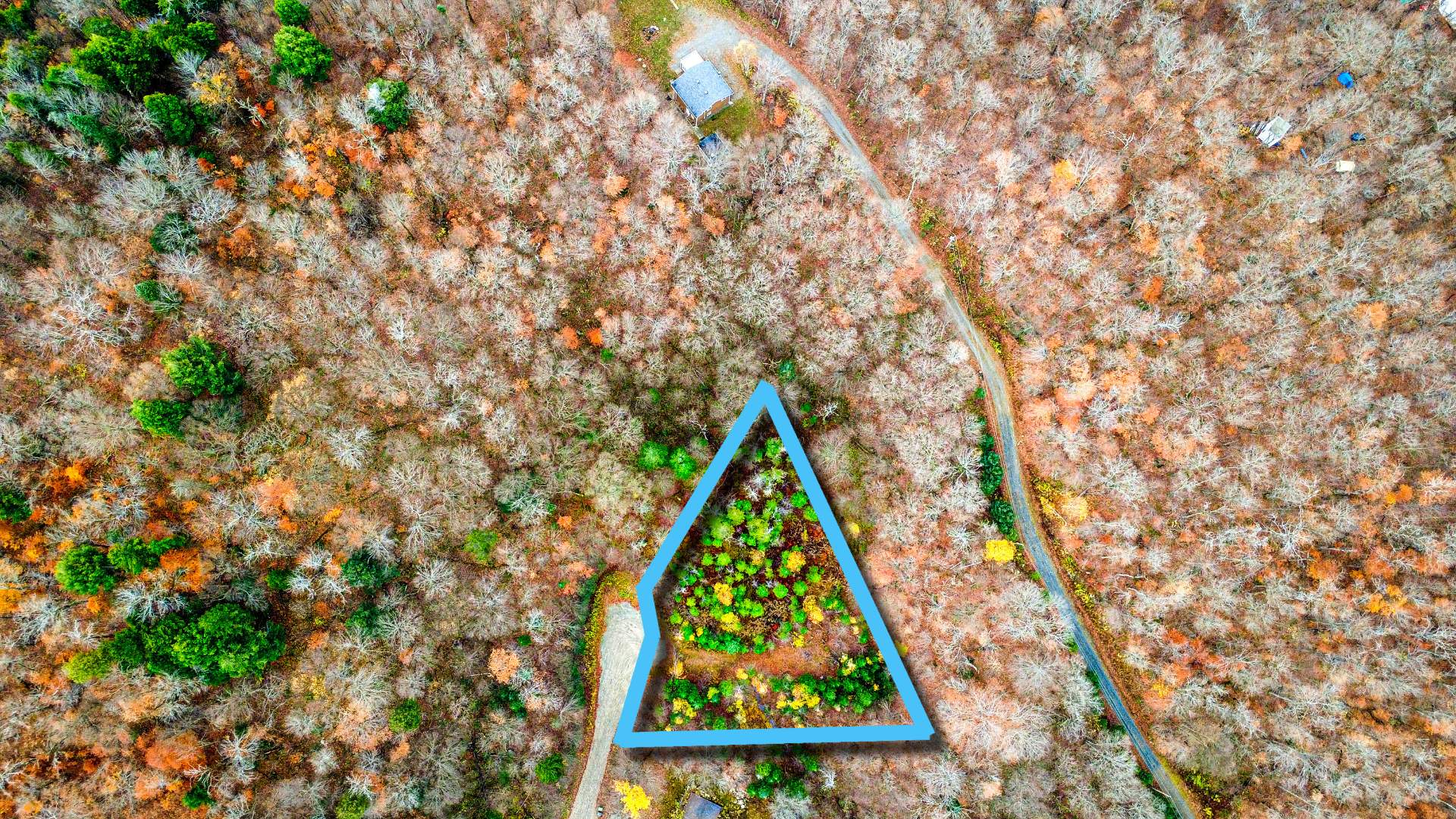 Photo - Vue d'ensemble