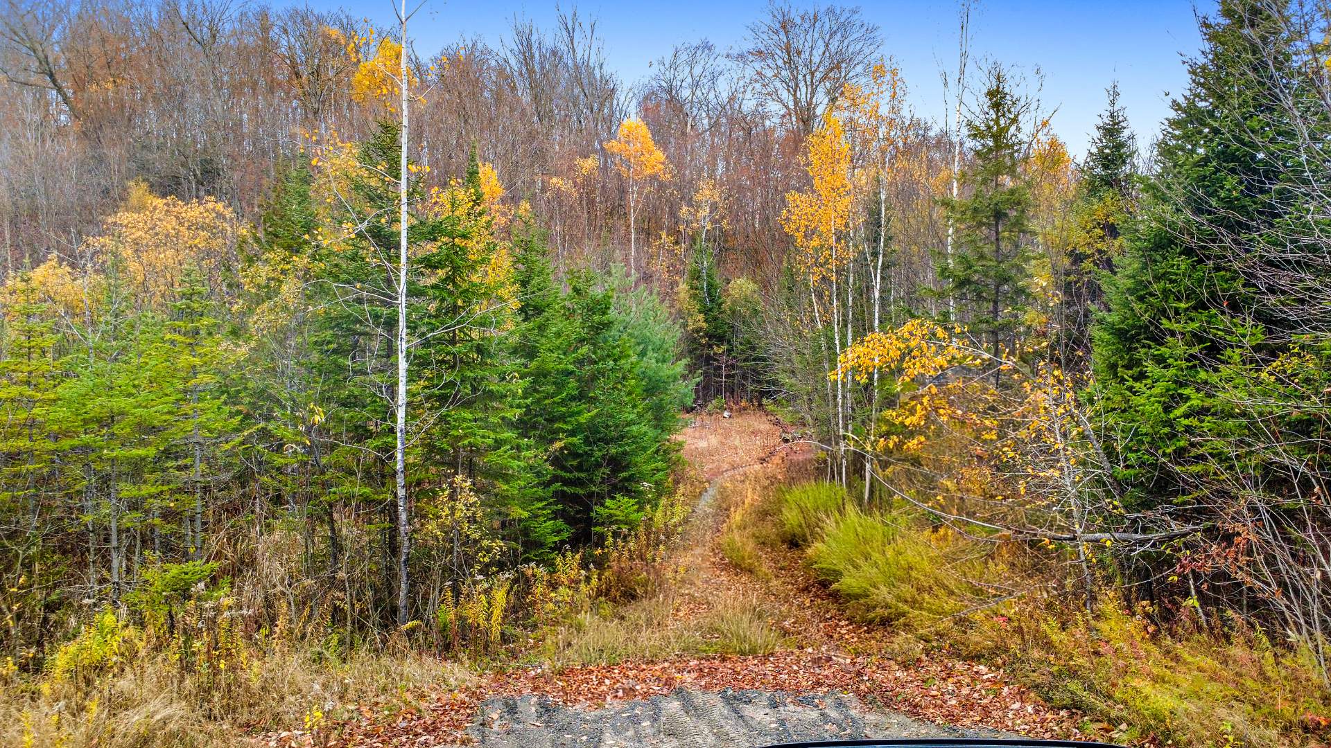 Photo - Terre/Terrain