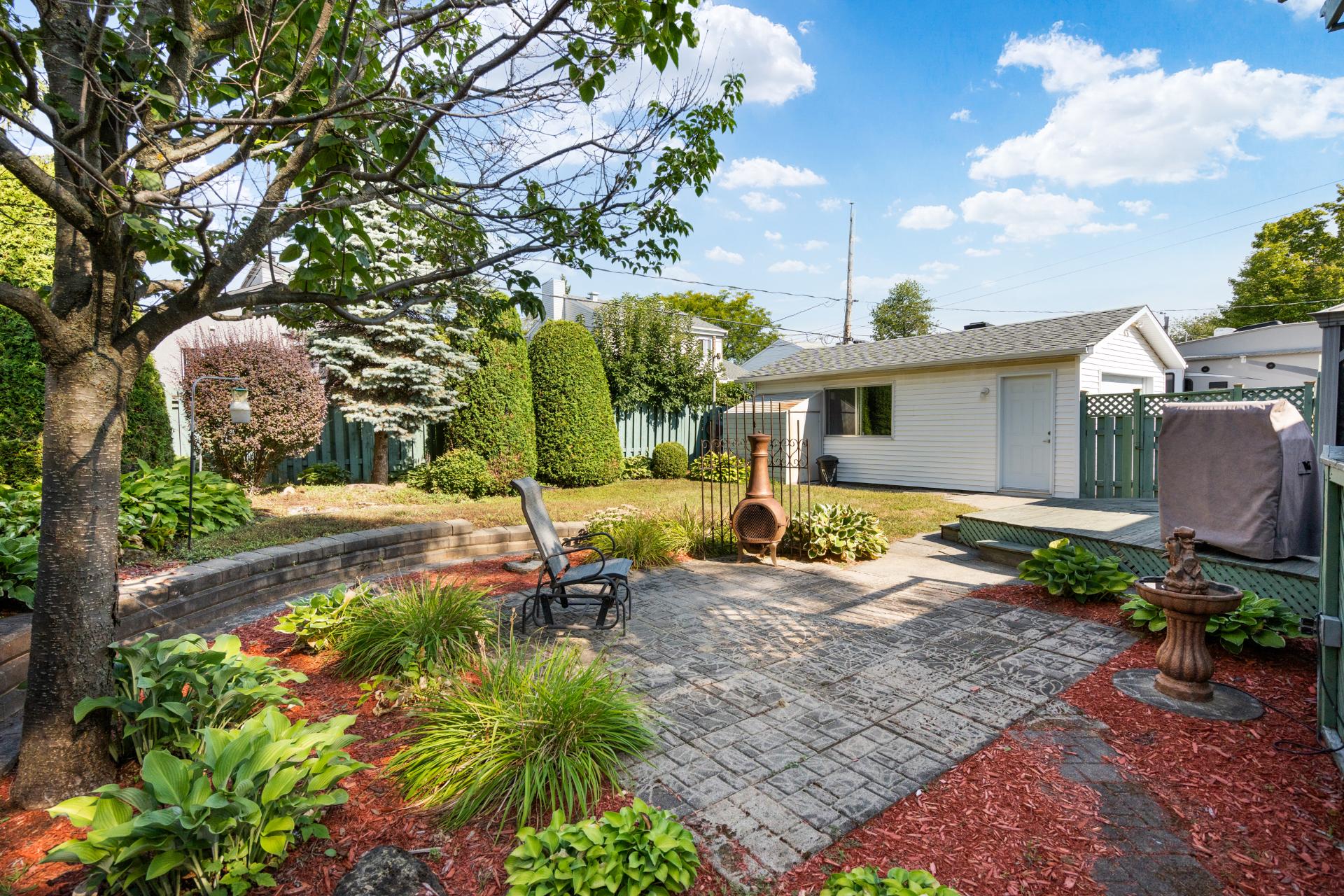 Photo - Backyard