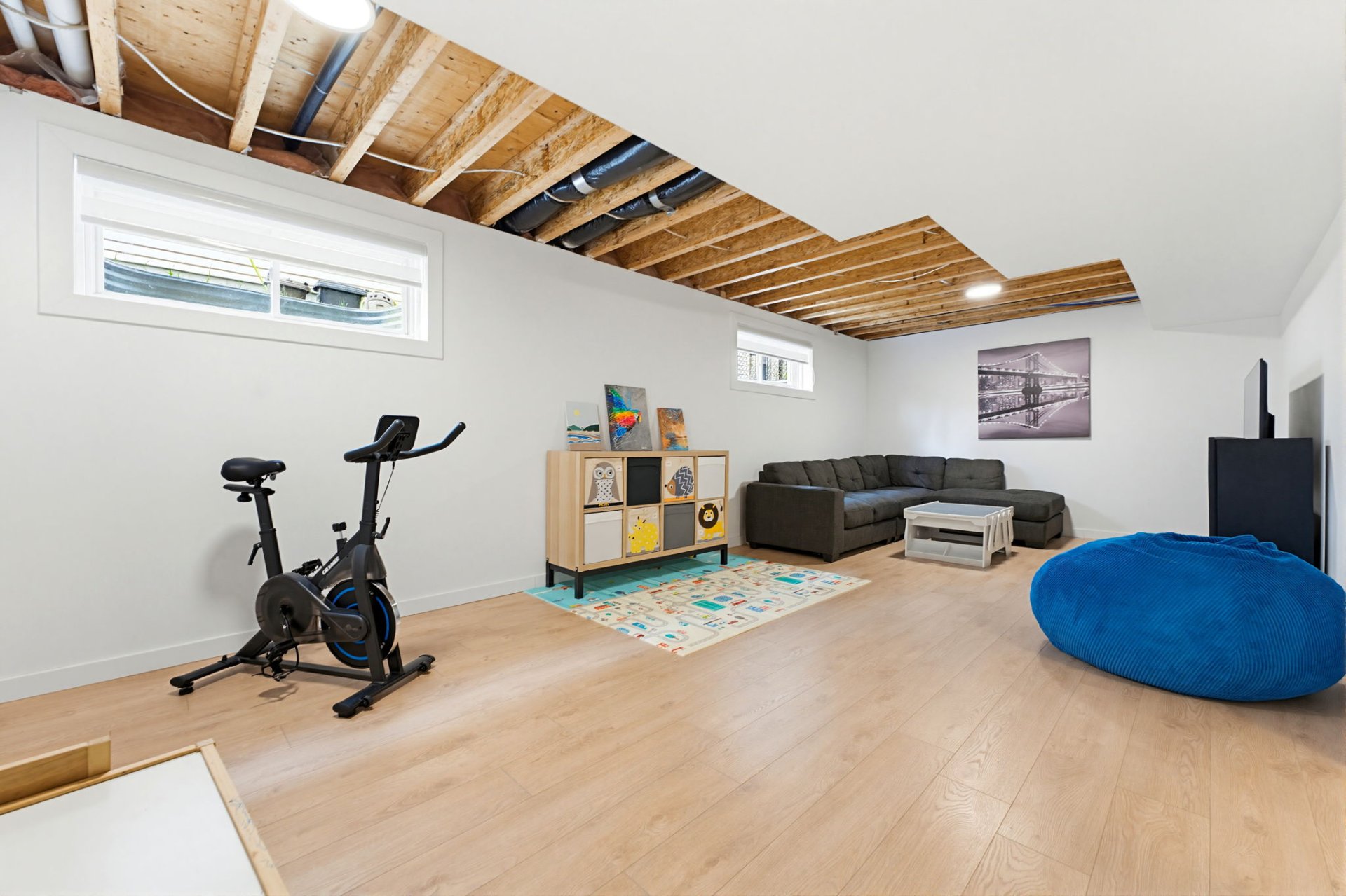 Photo - Basement