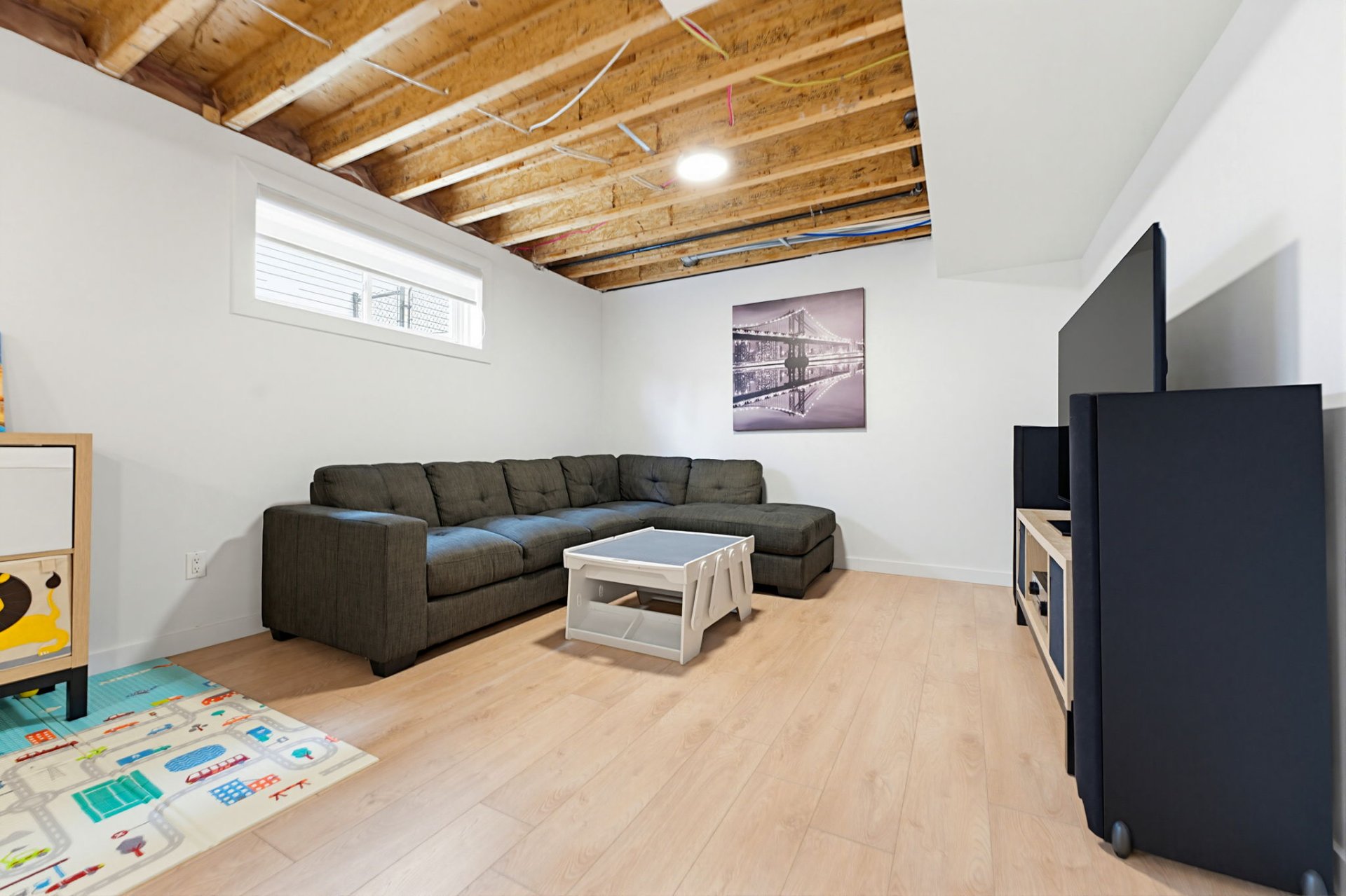 Photo - Basement