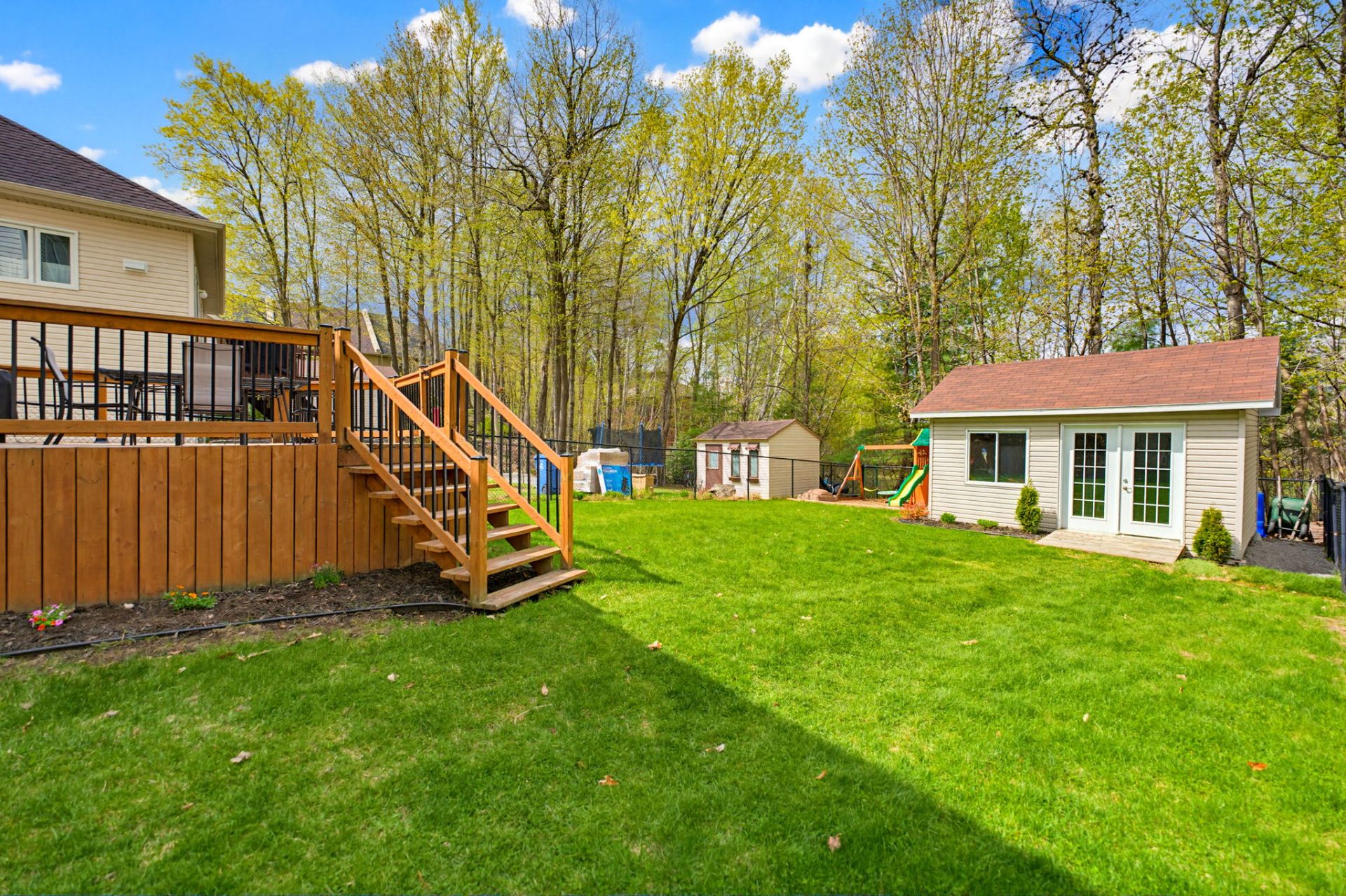 Photo - Backyard