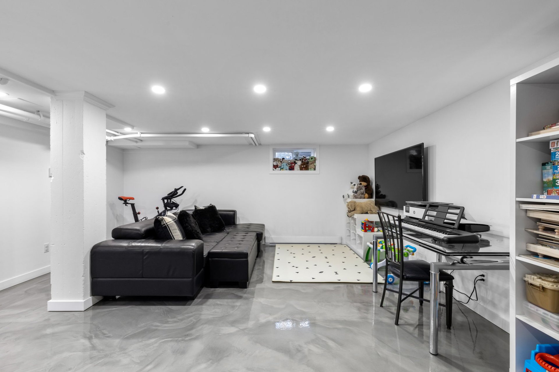 Photo - Basement
