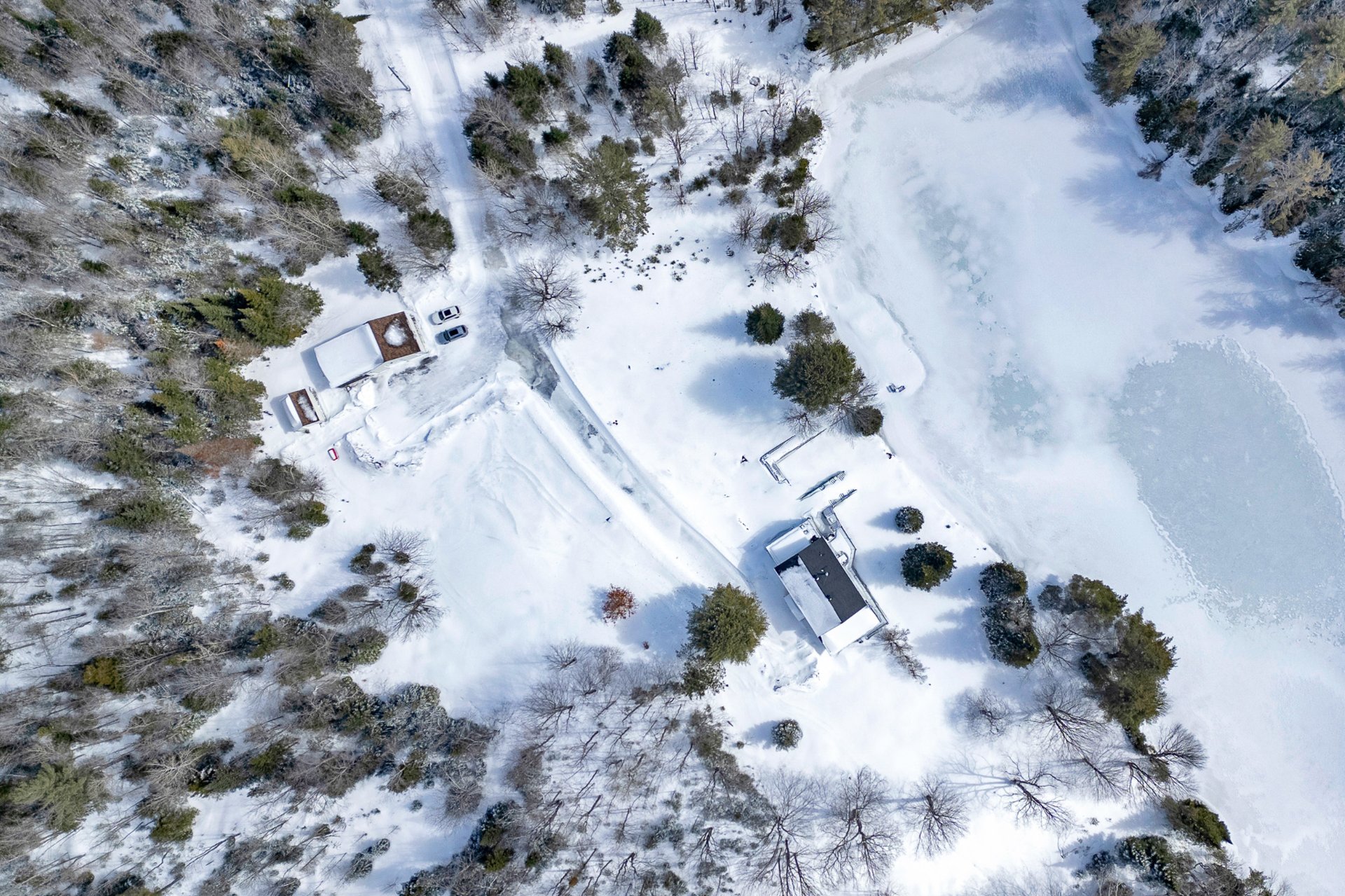 Photo - Aerial photo