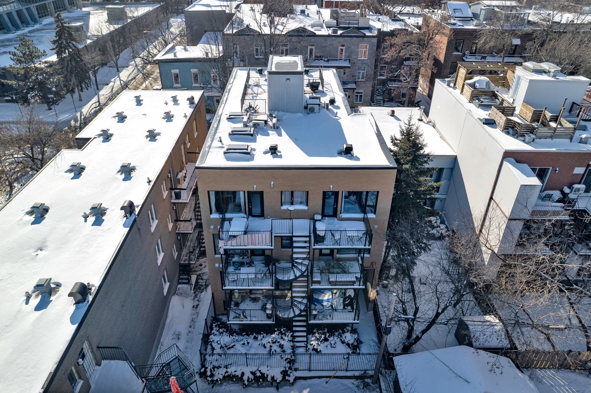 Photo - Face arrière