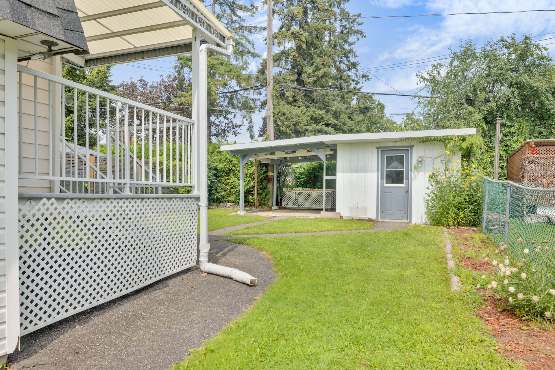 Photo - Backyard