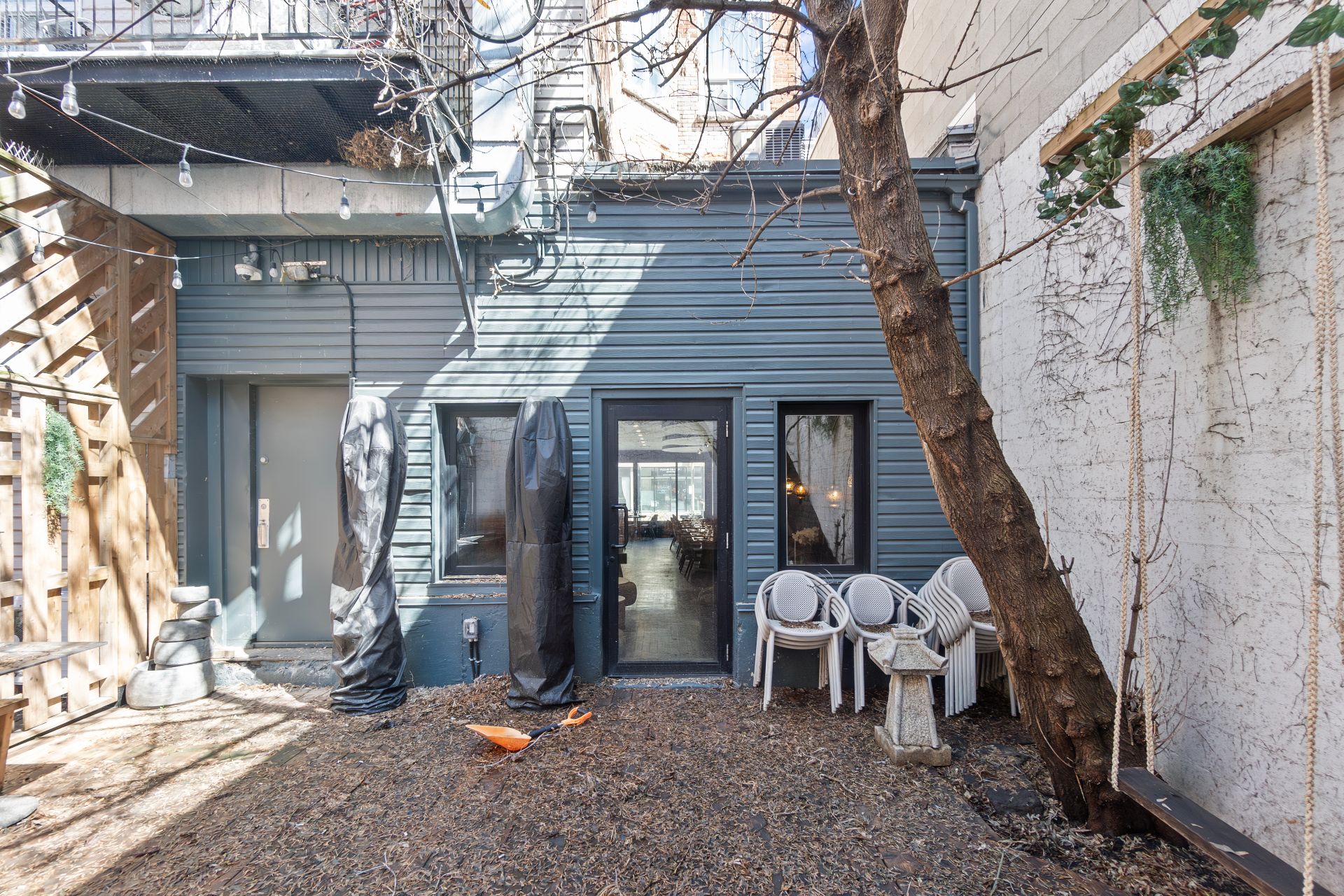 Photo - Backyard