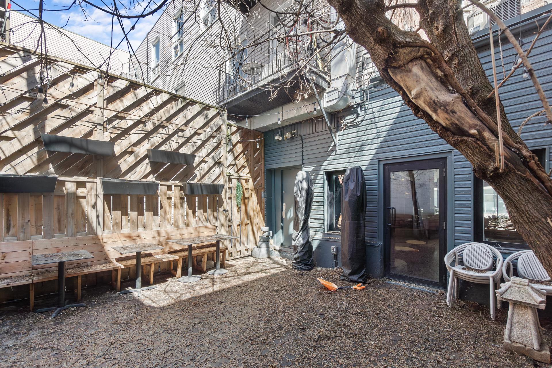 Photo - Backyard