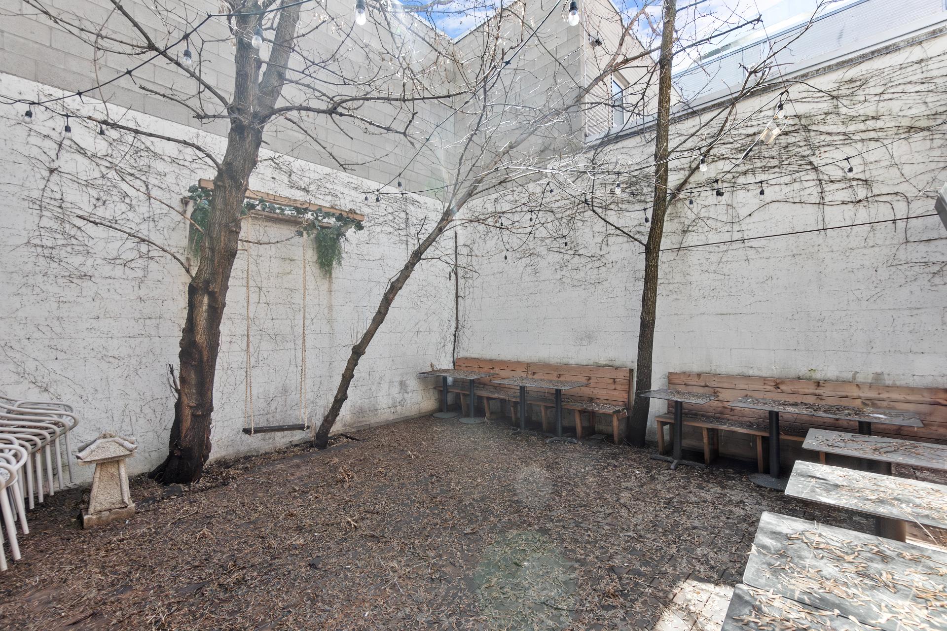 Photo - Backyard