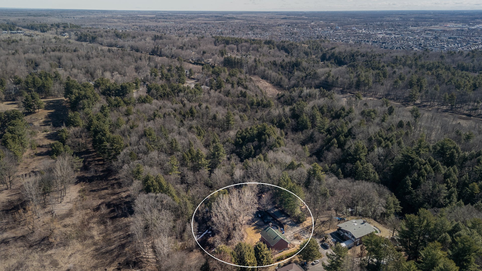 Photo - Aerial photo