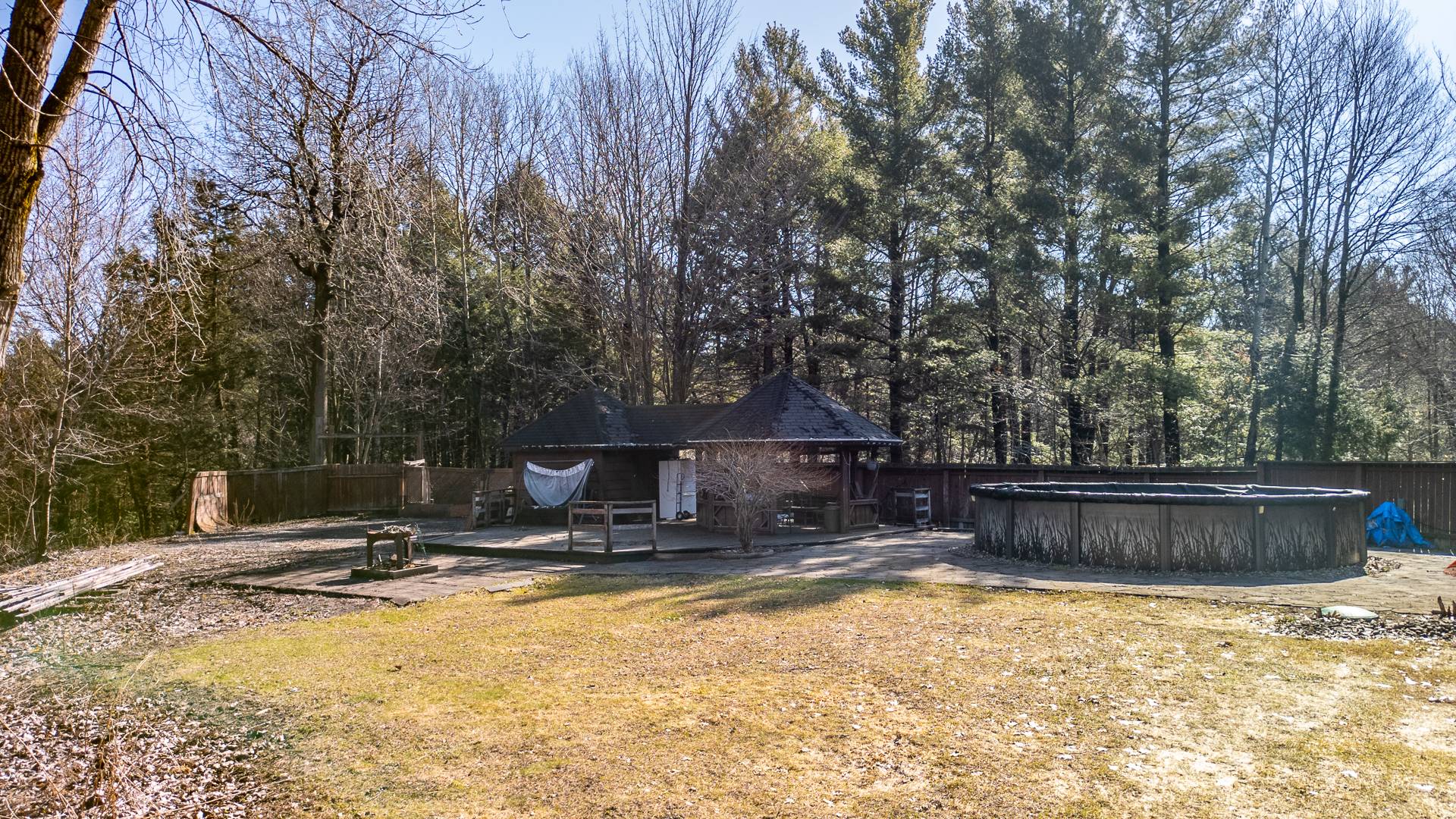 Photo - Backyard