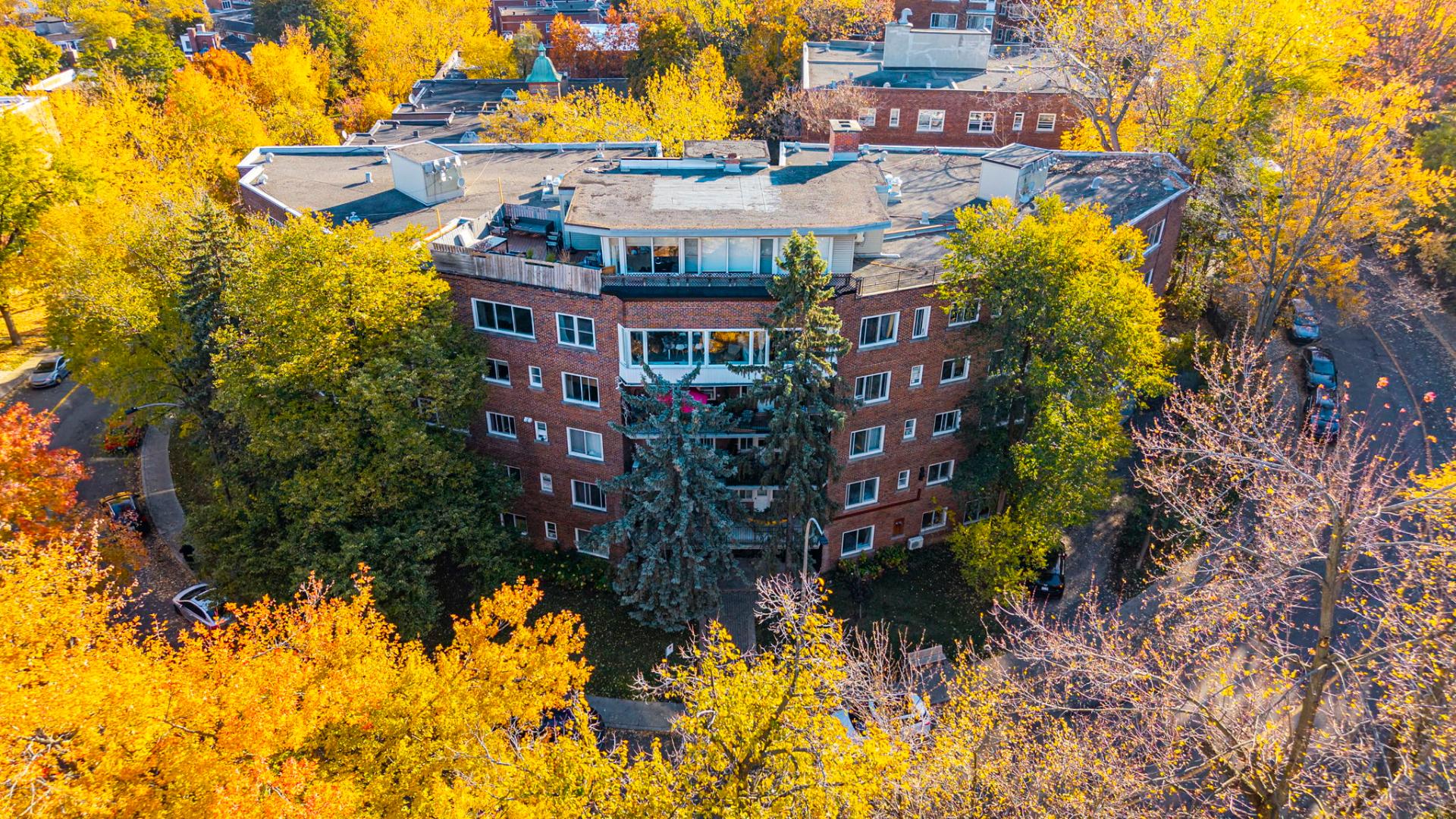 Photo - Photo aérienne