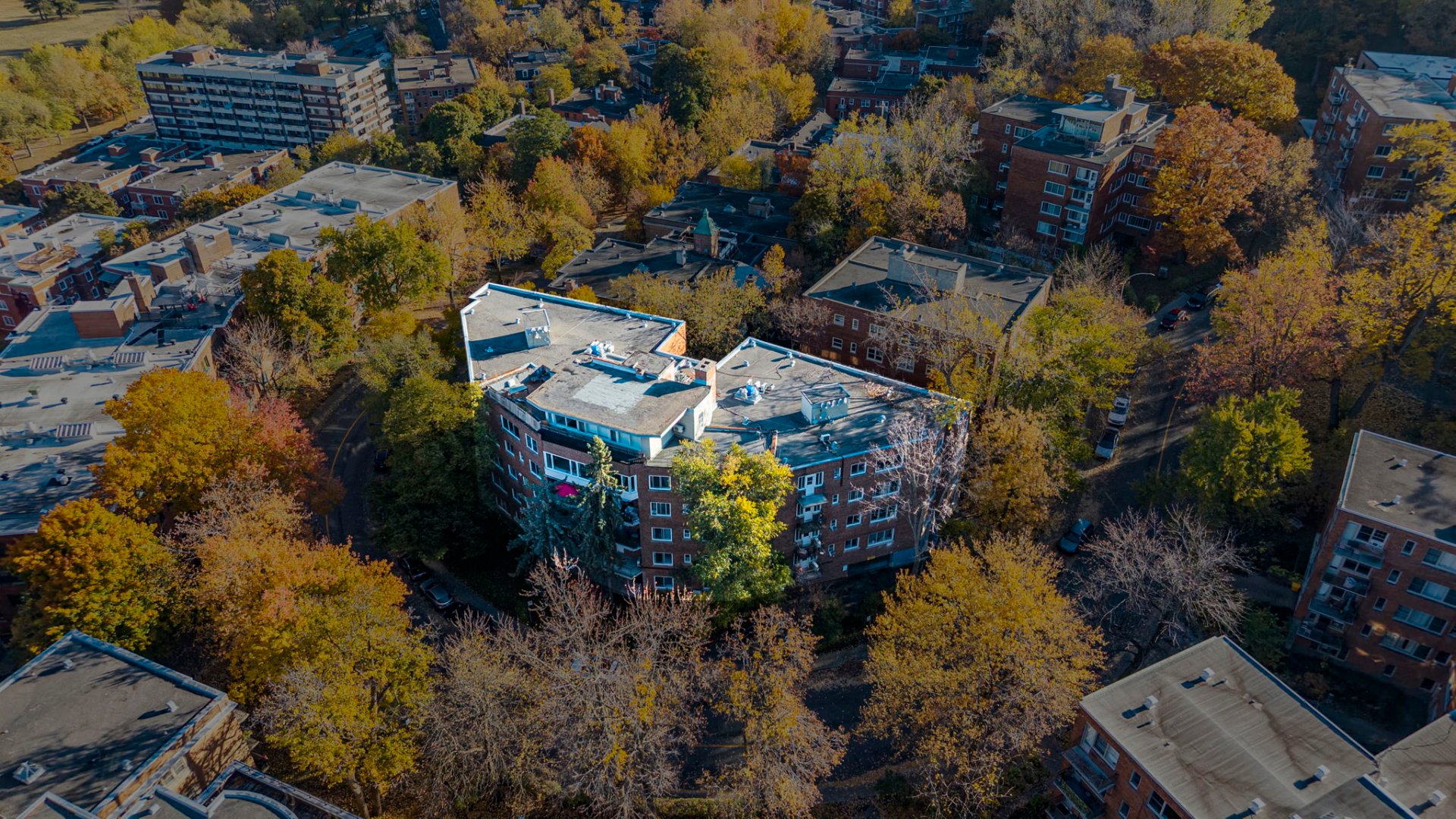 Photo - Photo aérienne