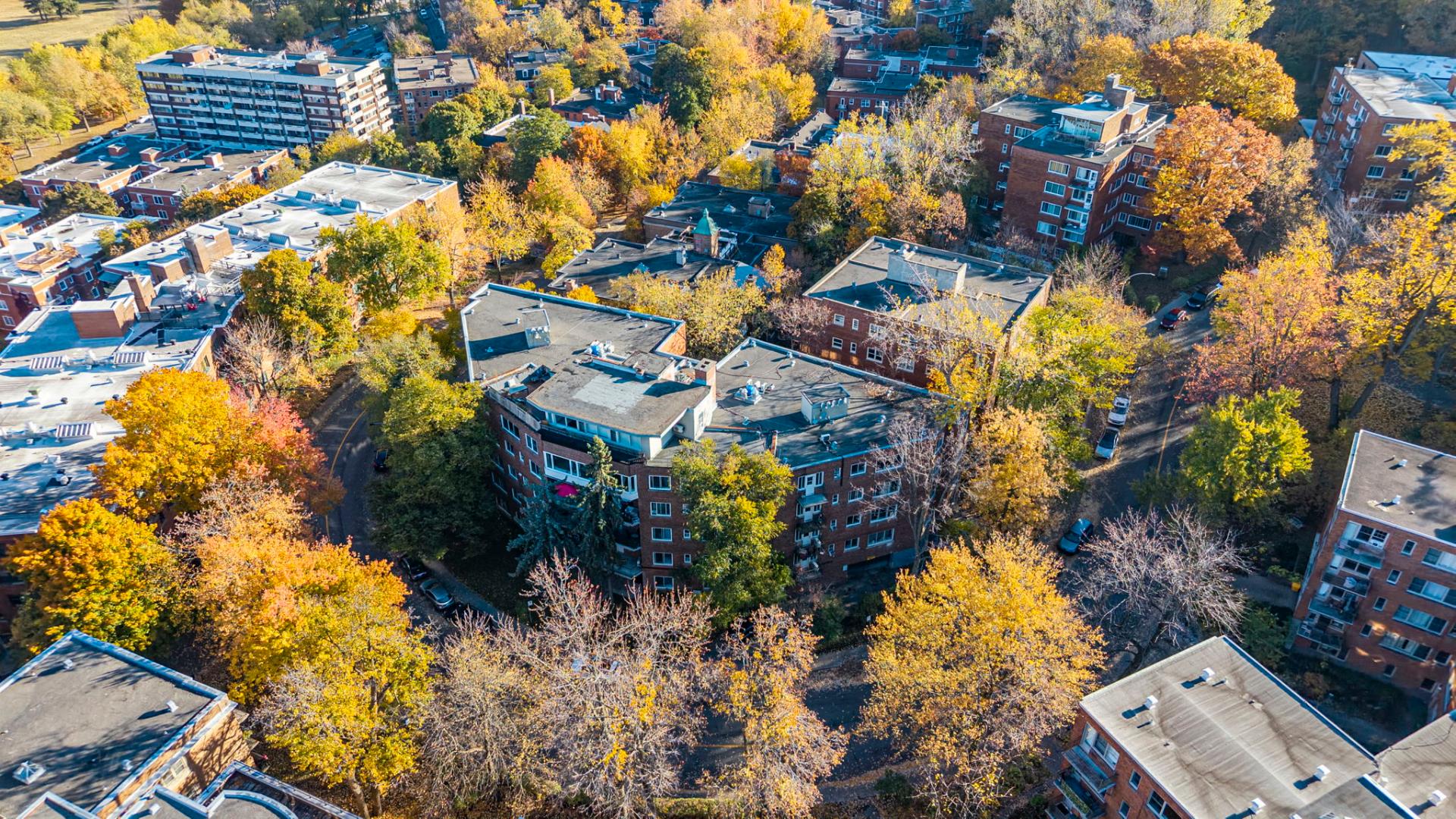 Photo - Photo aérienne