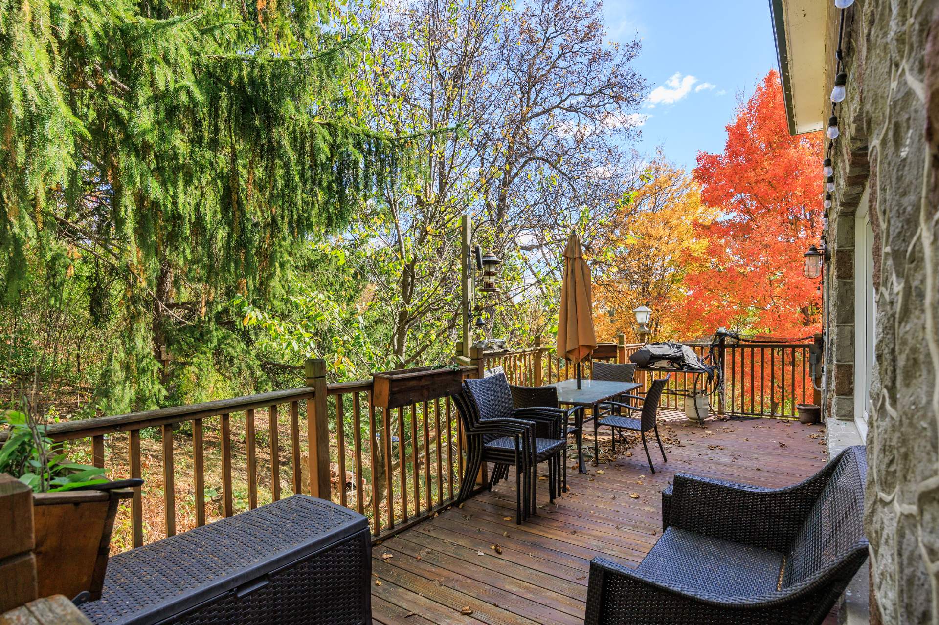 Photo - Terrasse