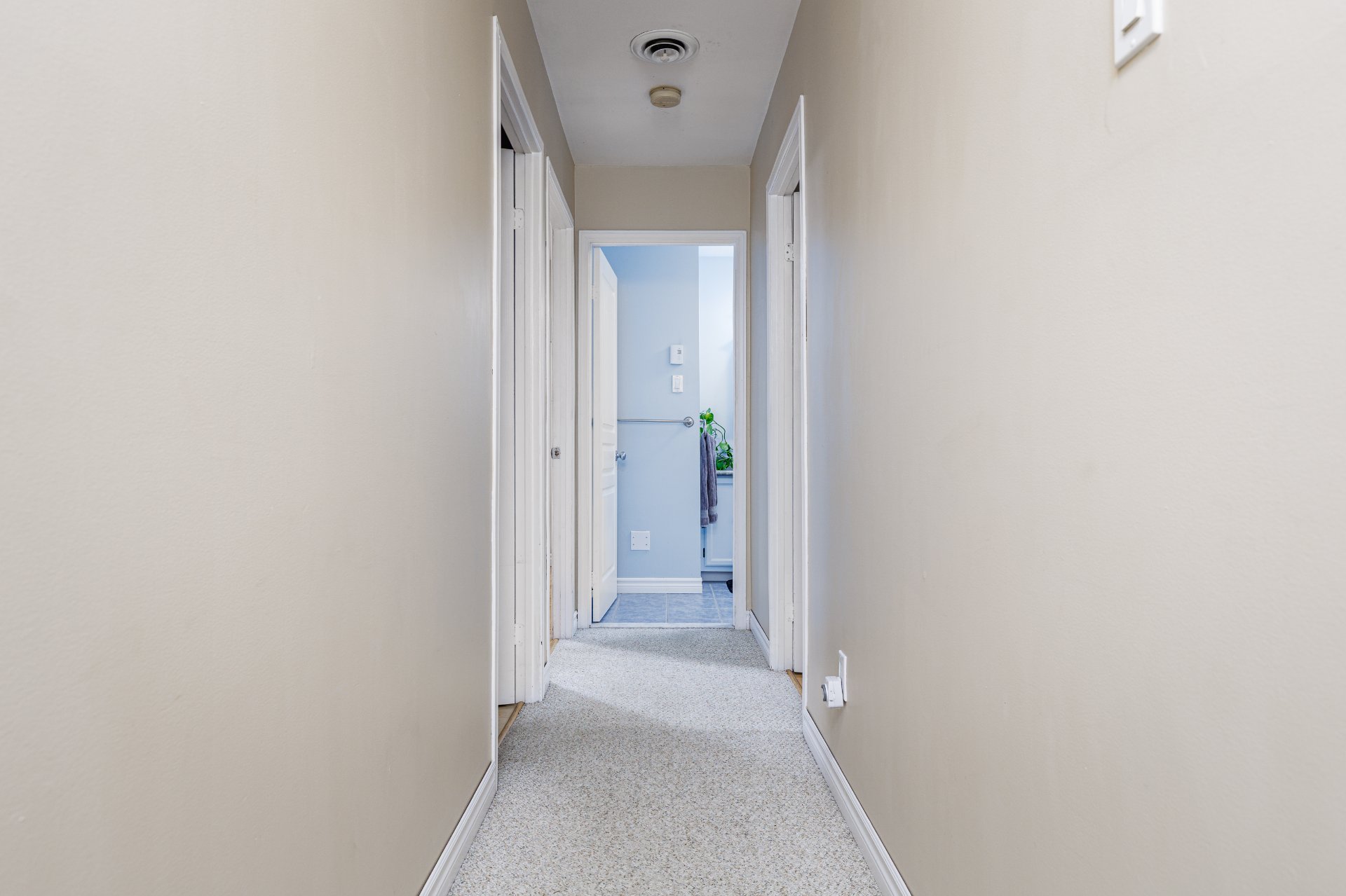 Photo - Hallway