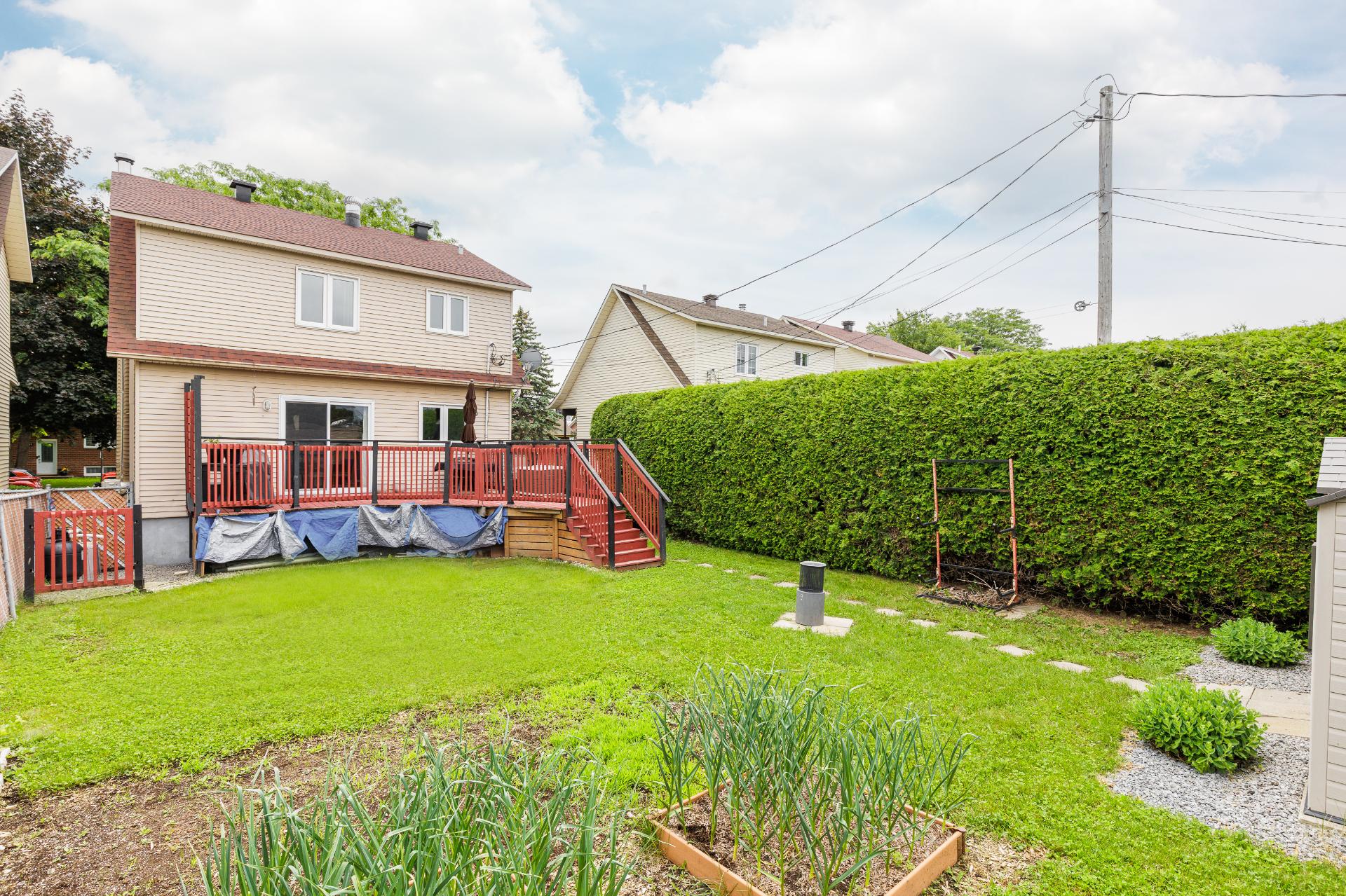 Photo - Backyard
