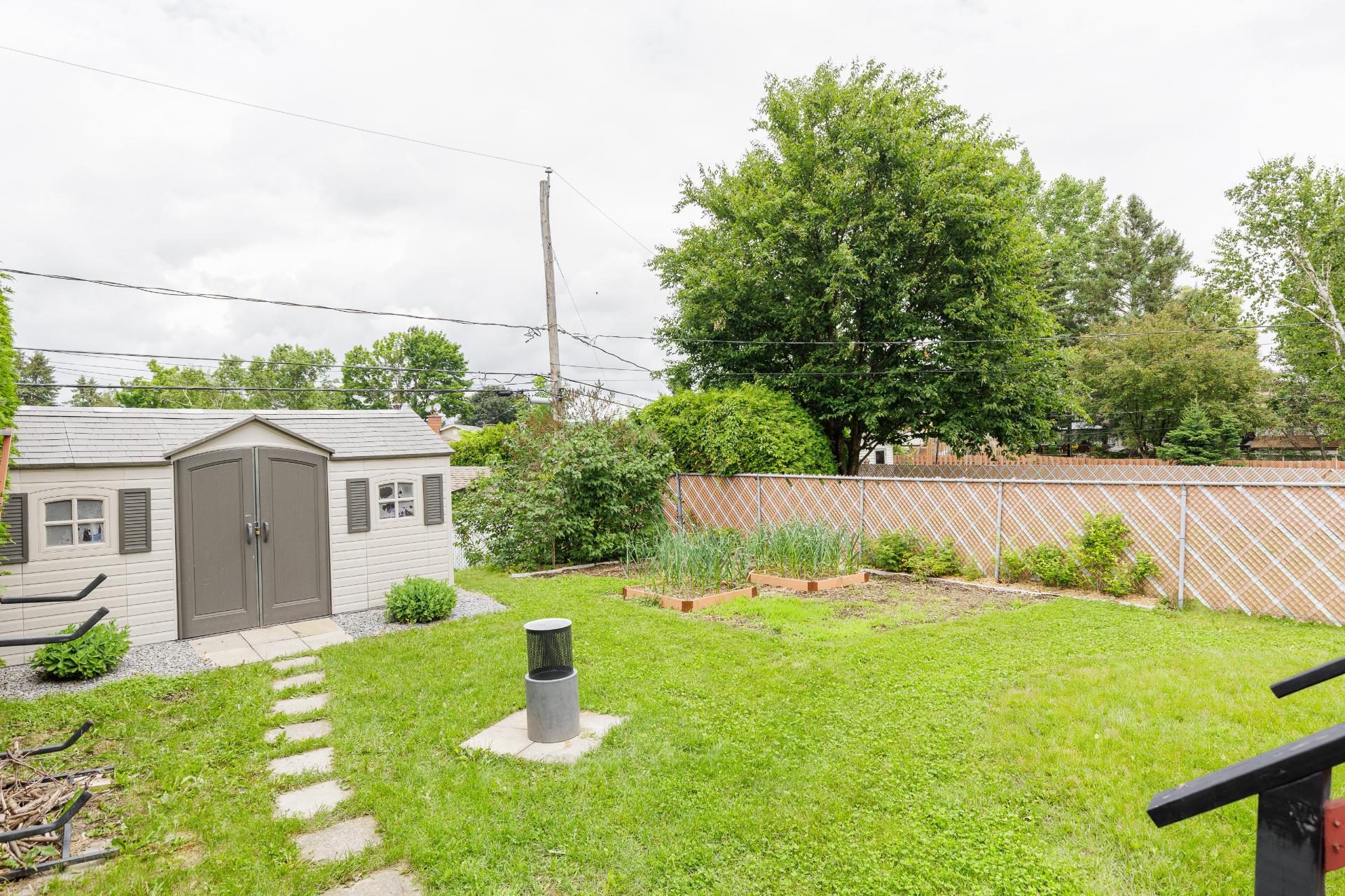 Photo - Backyard