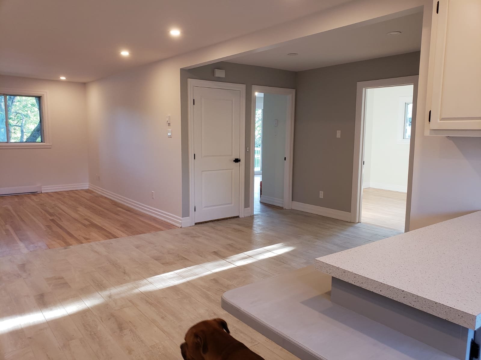 Photo - Vue d'ensemble