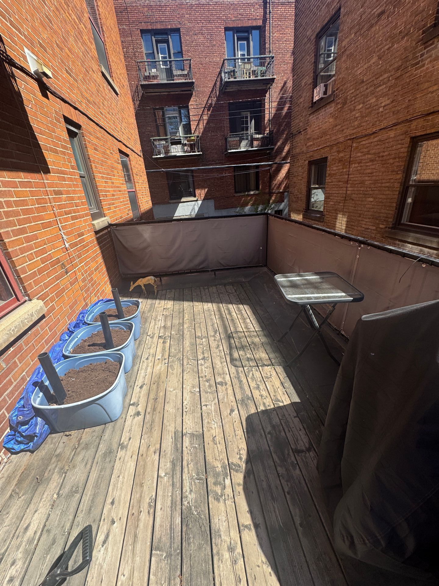 Photo - Balcon